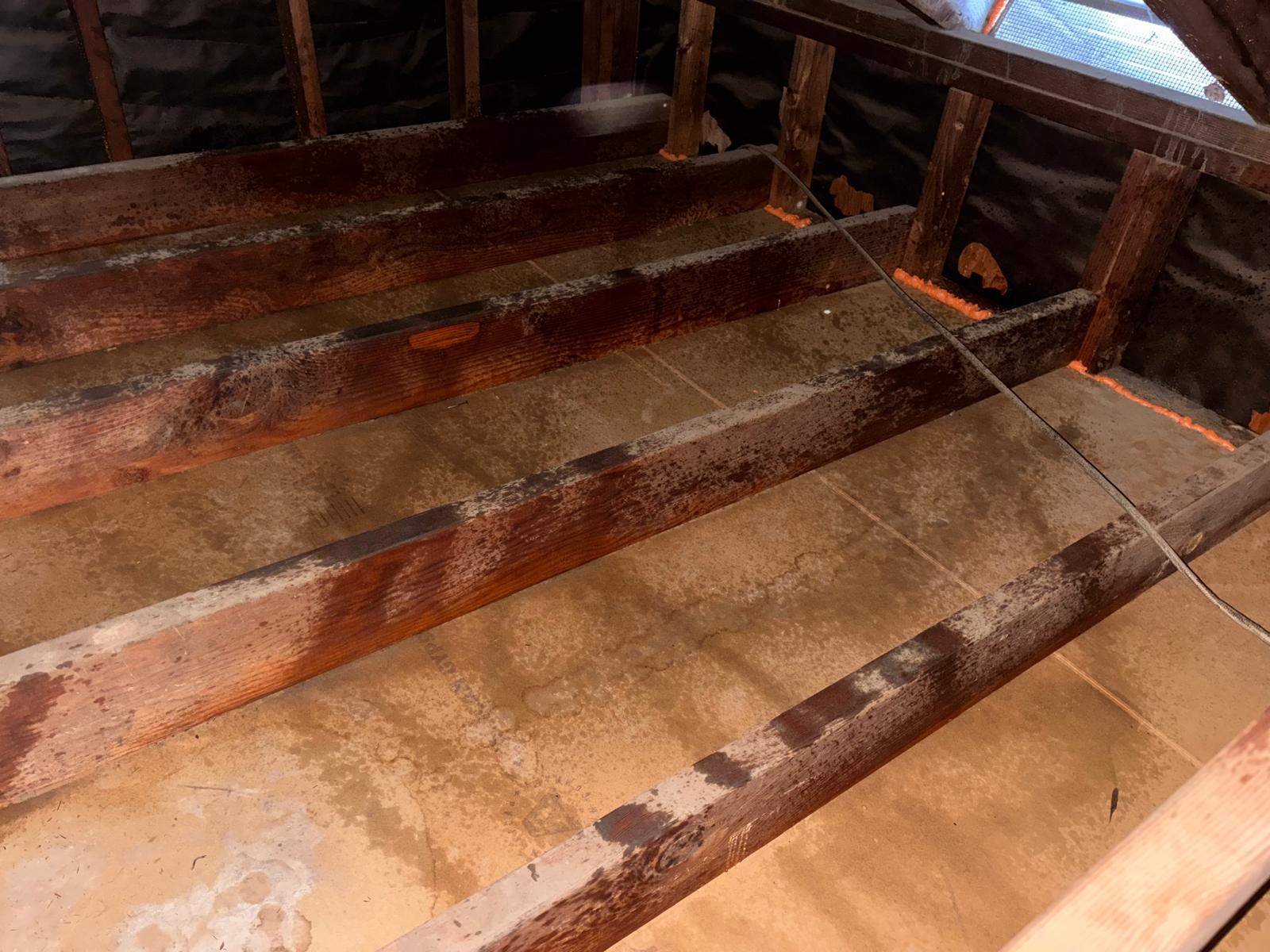 Project in Placentia by Insulation Labs