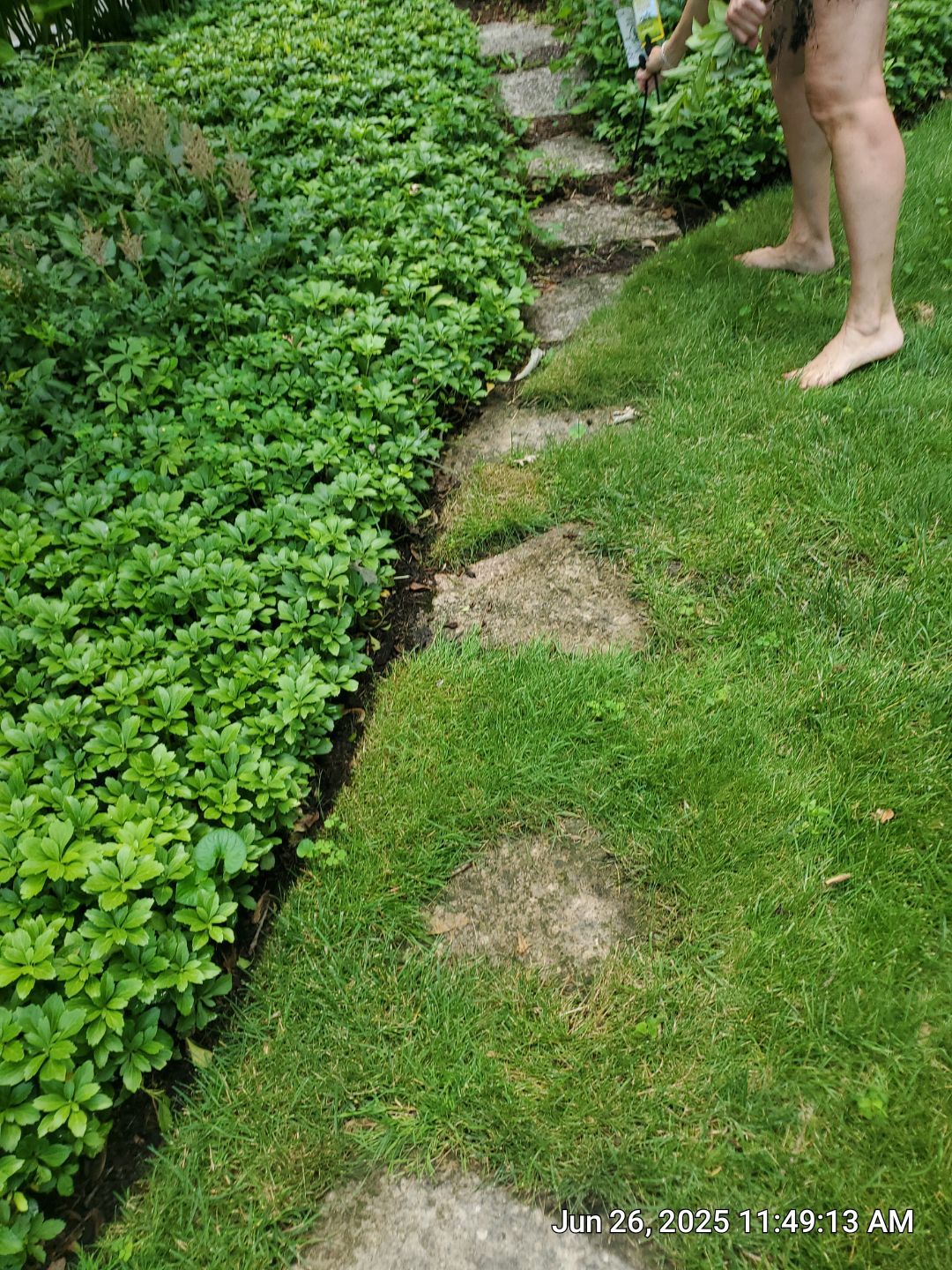 Glenview stone repair, and cleaning by Northern Power Washing LLC.