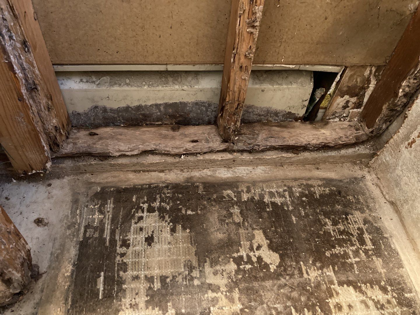 Water Damage Repair by Accountable Home Services
