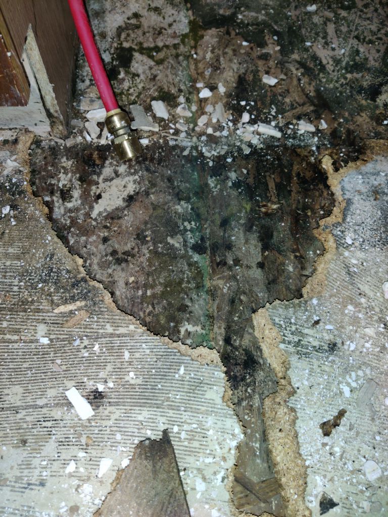 Mold Remediation in Kitchen by Accountable Home Services