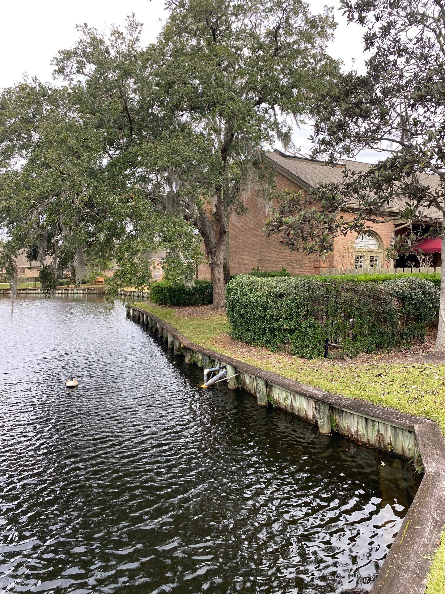 Deerwood Pointe | Tree Removal & Pine Straw Installation by ProGreen Services