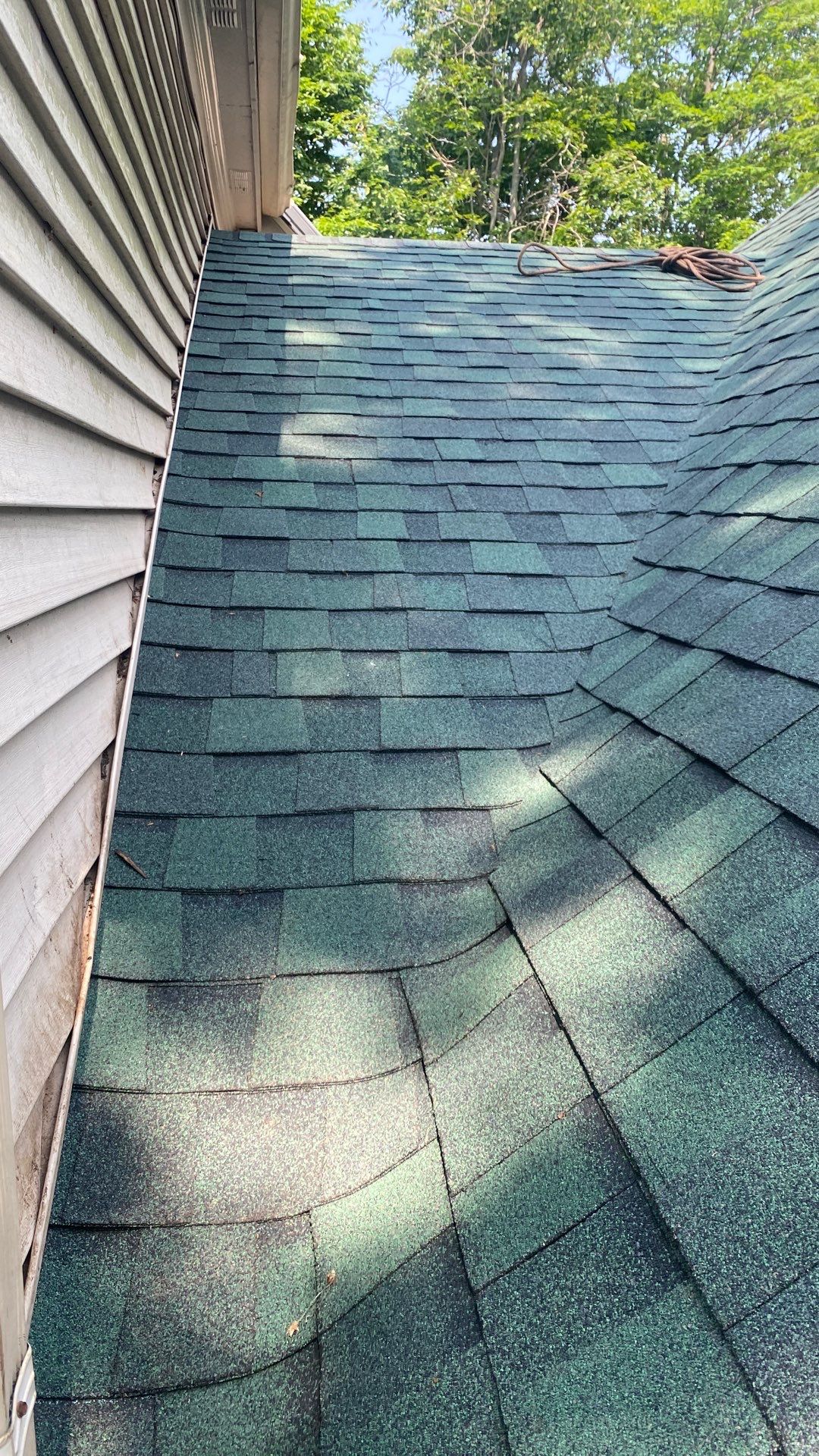 Springfield: Roof Replacement with CertainTeed Landmark Pro in Max Def Evergreen by RM Banning, Inc.