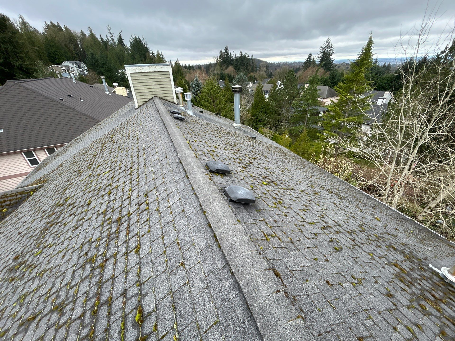 Project in Bellevue by Peaks and Valleys Construction