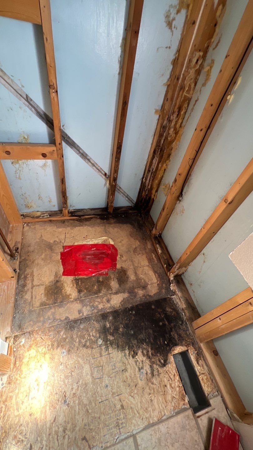 Water Damage and Mold Remediation by Accountable Home Services