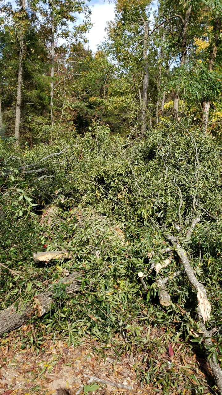 land clearing using machinery by G&H Home Tech Pros LLC