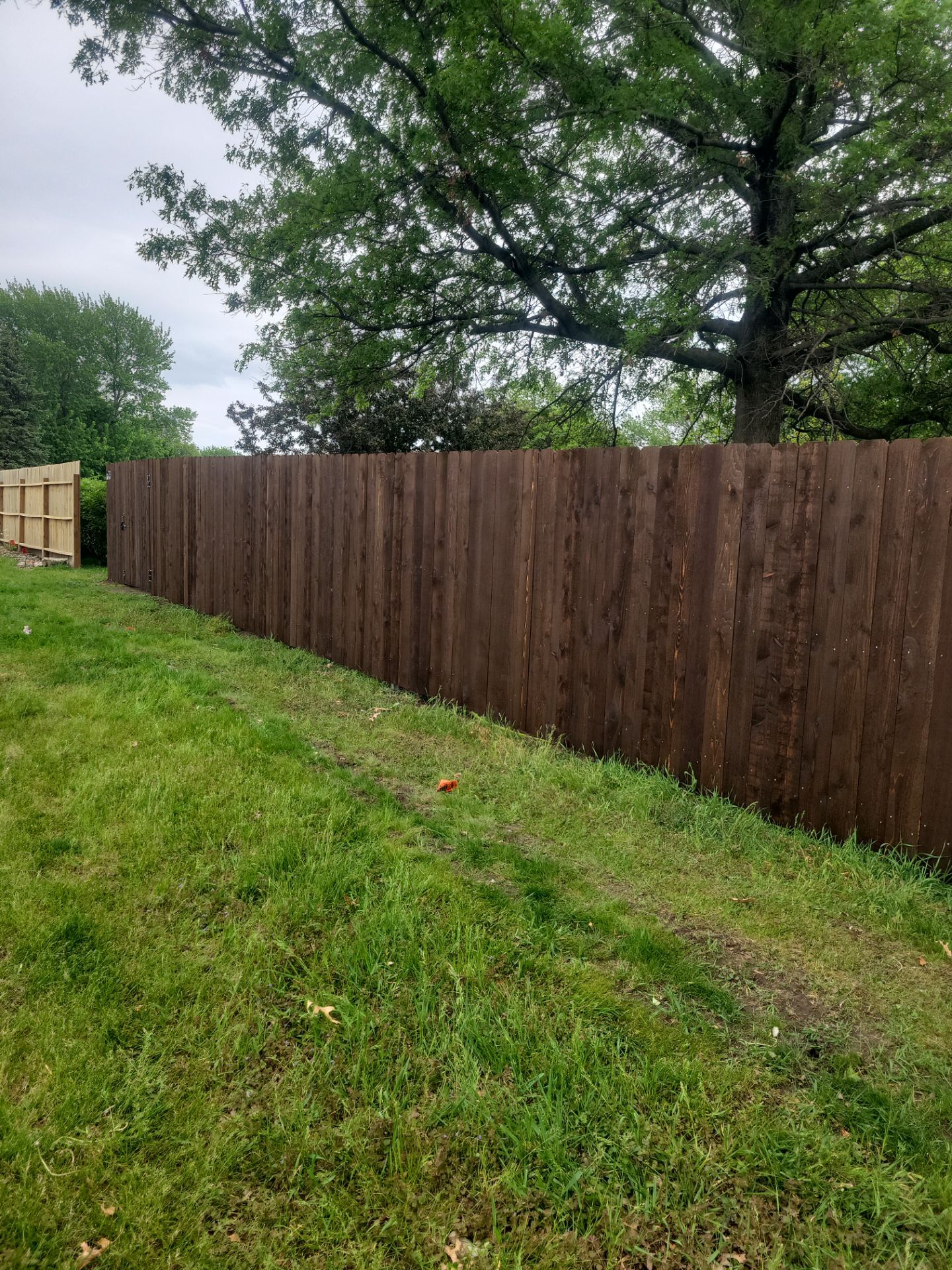 Chain Link and Cedar Privacy in Grundy Center by Perfect Picket Fence and Stain