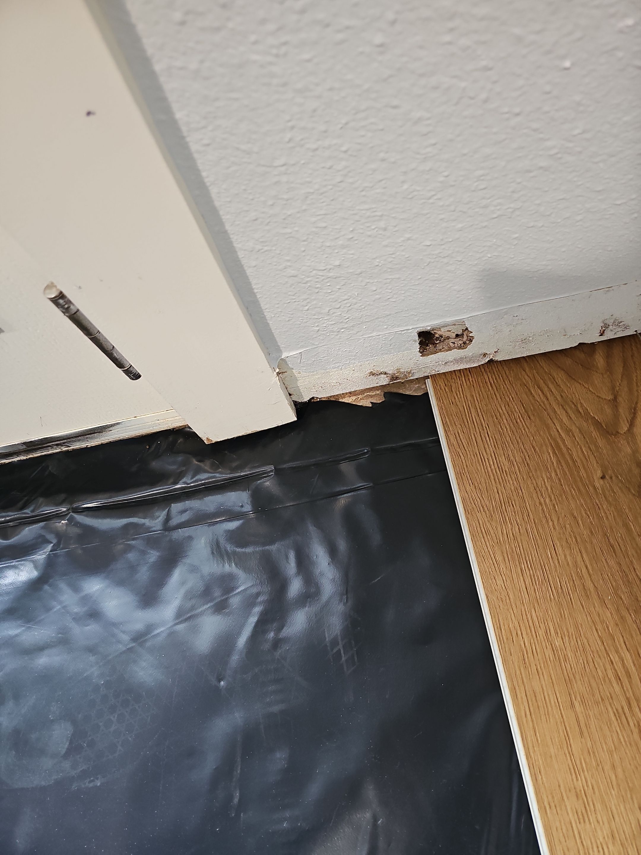 Laminate floor & fence by EL-GC LLC 