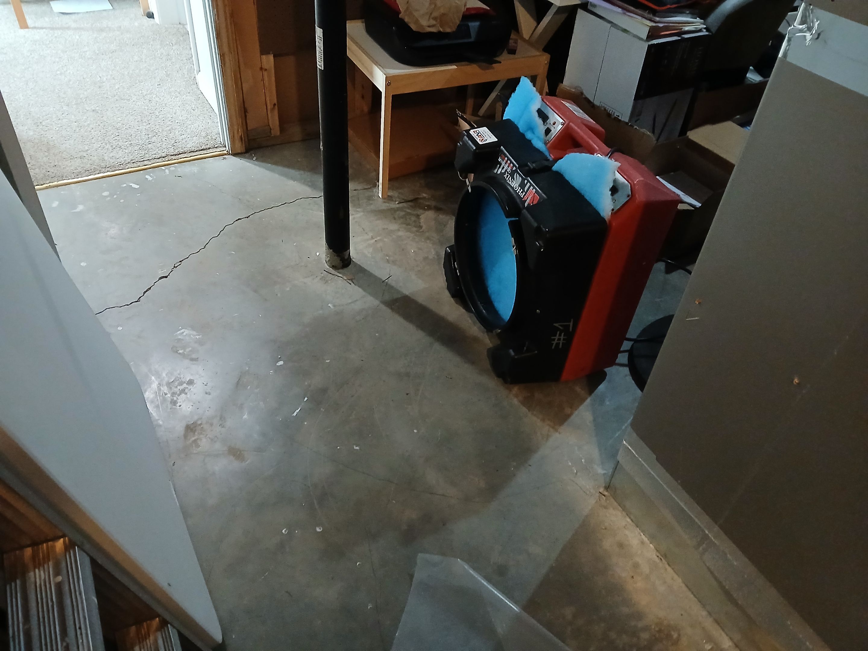 Basement Mold Remediation in Prospect, KY by ANR Restoration