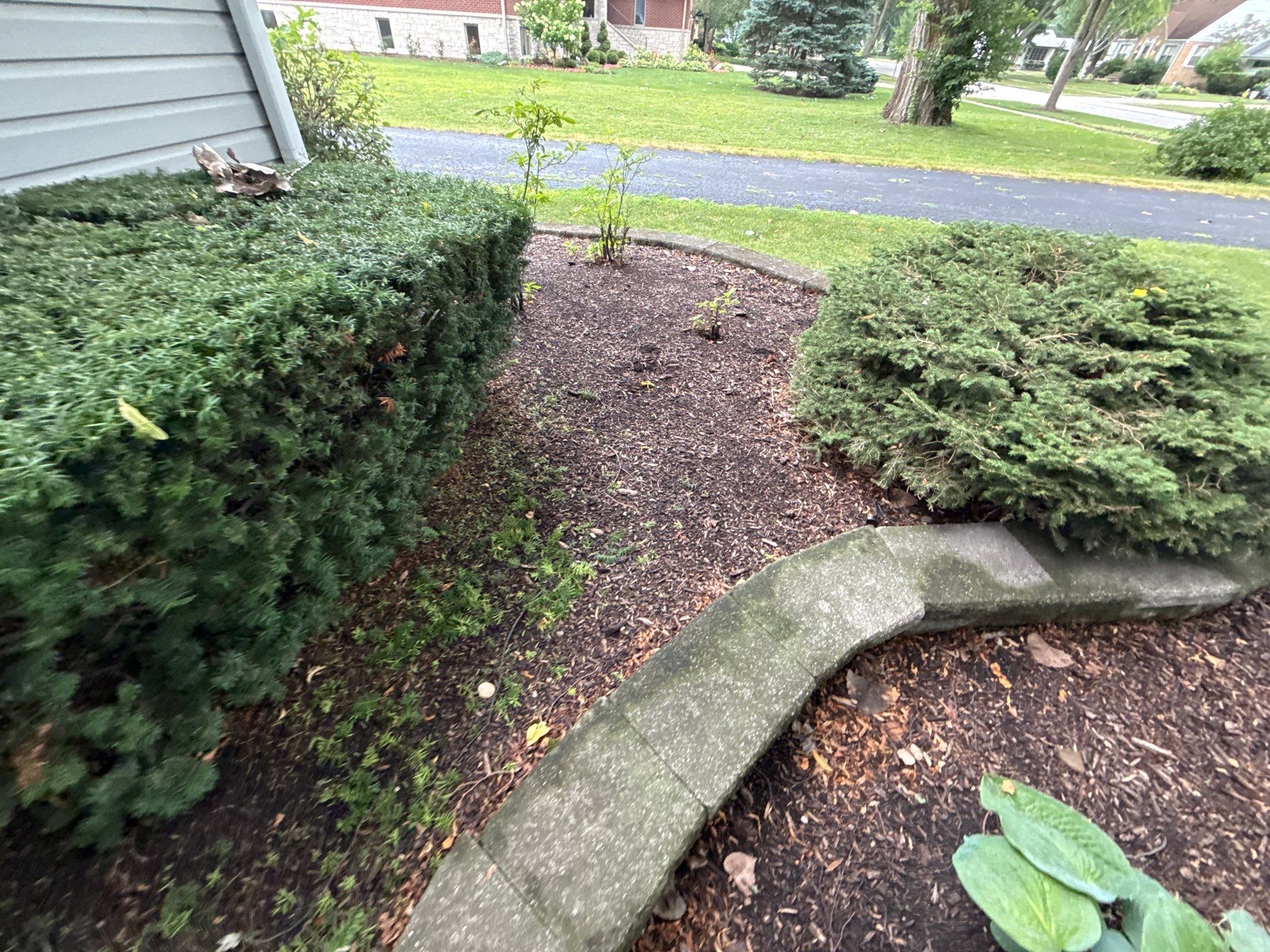 Karen M. - Palatine, IL by A&N