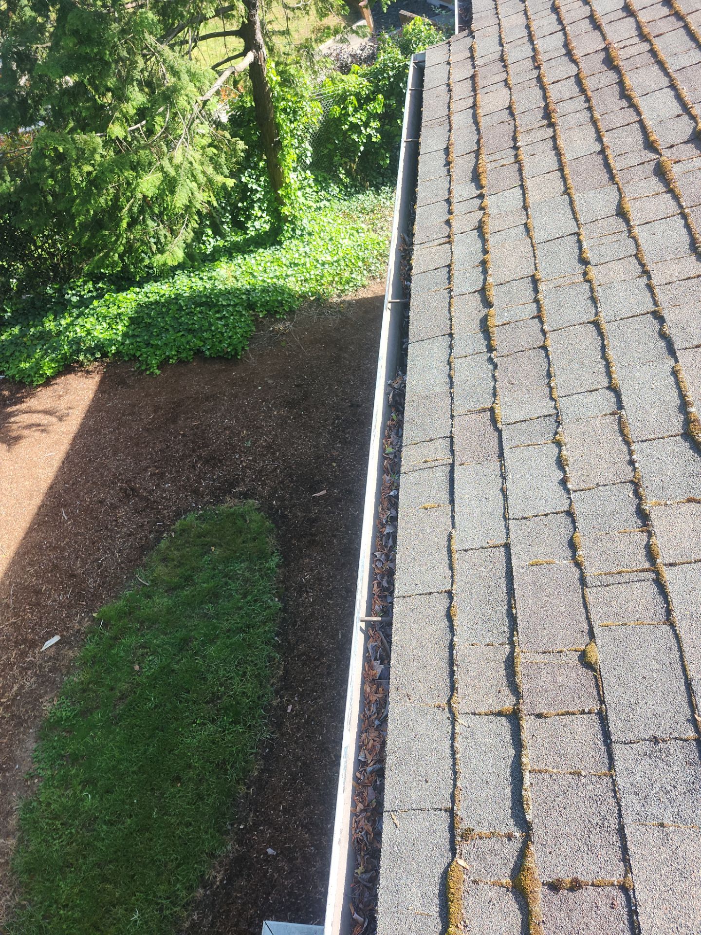 HOA gutter cleaning before