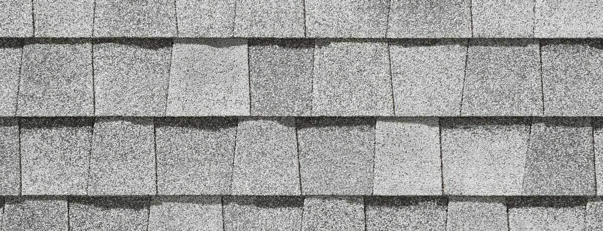 Silver Birch by Pinnacle Roofing & Skylights