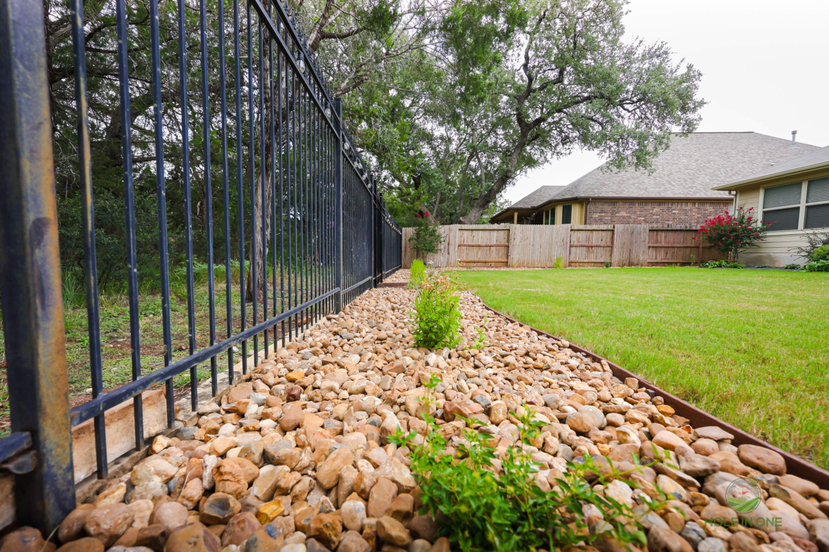 Wortham Oak, San Antonio Tx. by Hole In One Lawns, LLC