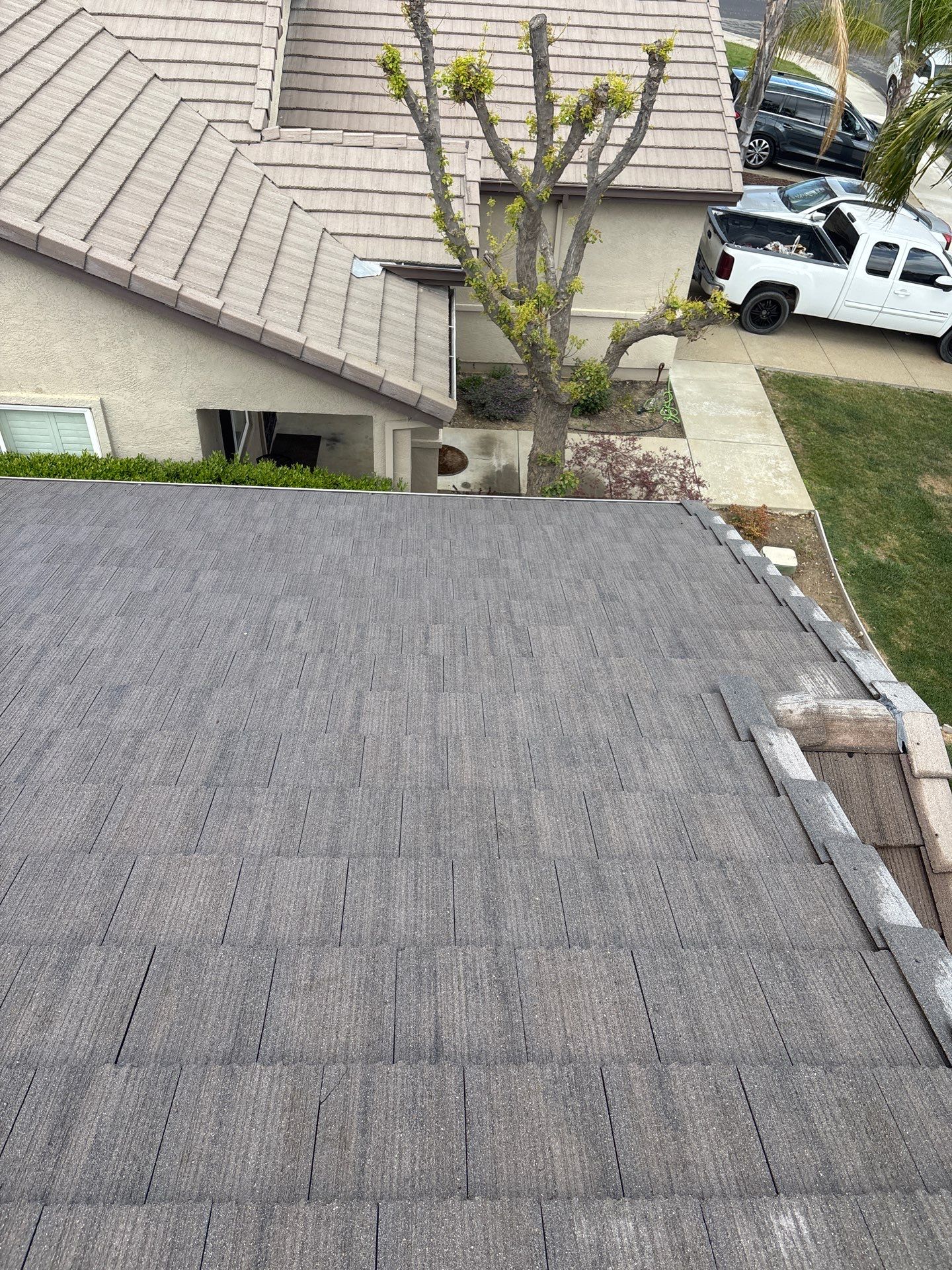 Moss Removal by Top Elevation