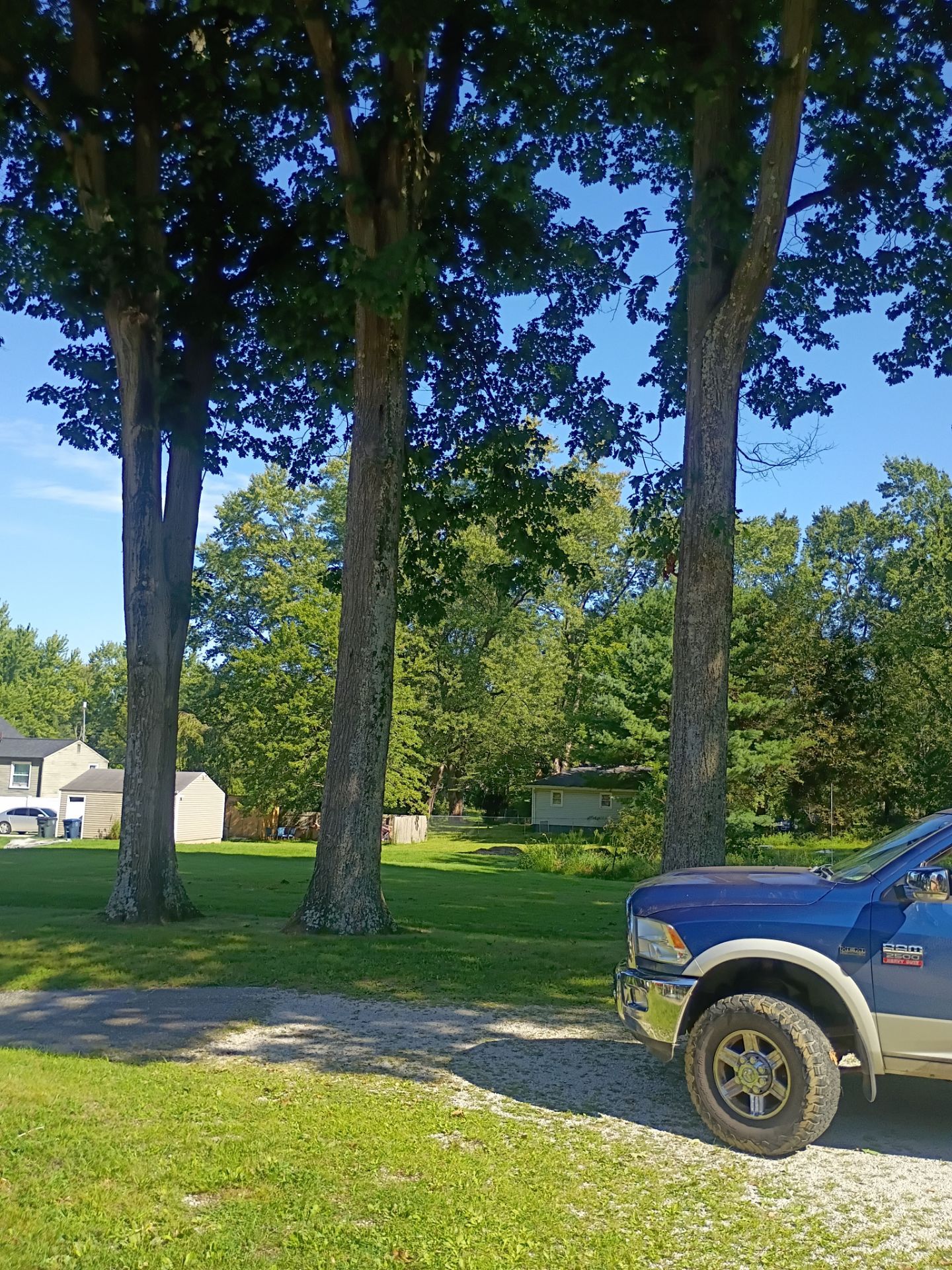 Tree Trimming & Tree Removal in Akron Ohio by Mike Jones & Sons Tree Service LLC 