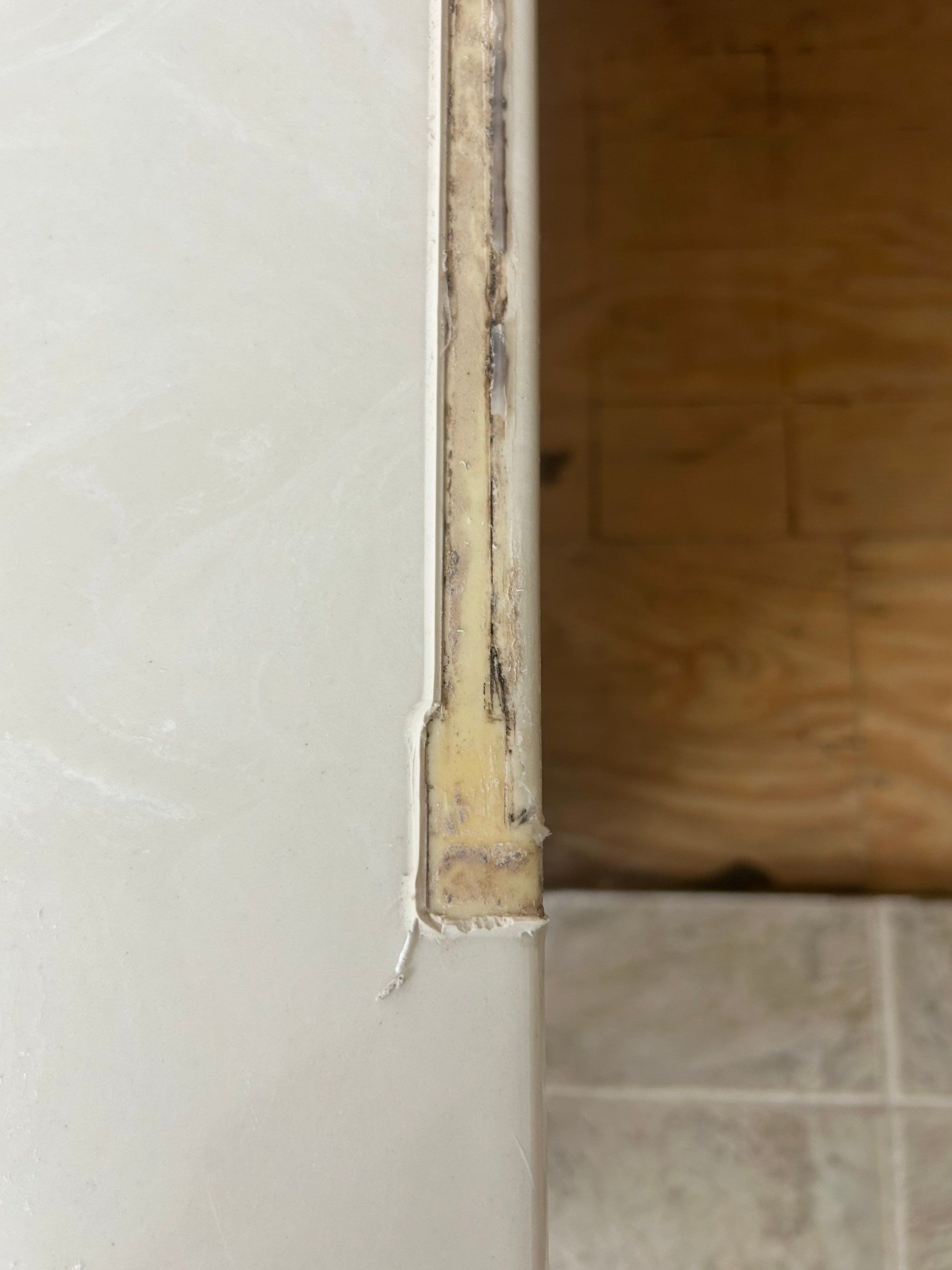 Project in West Bloomfield by EzDry Water Mitigation & Property Restoration