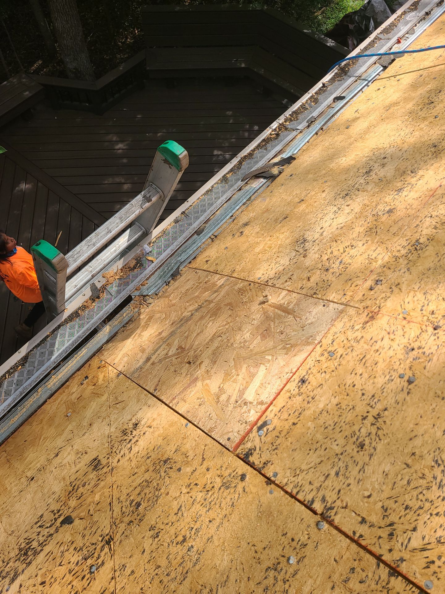 Roof Replacement Spring by Roof Repair Company