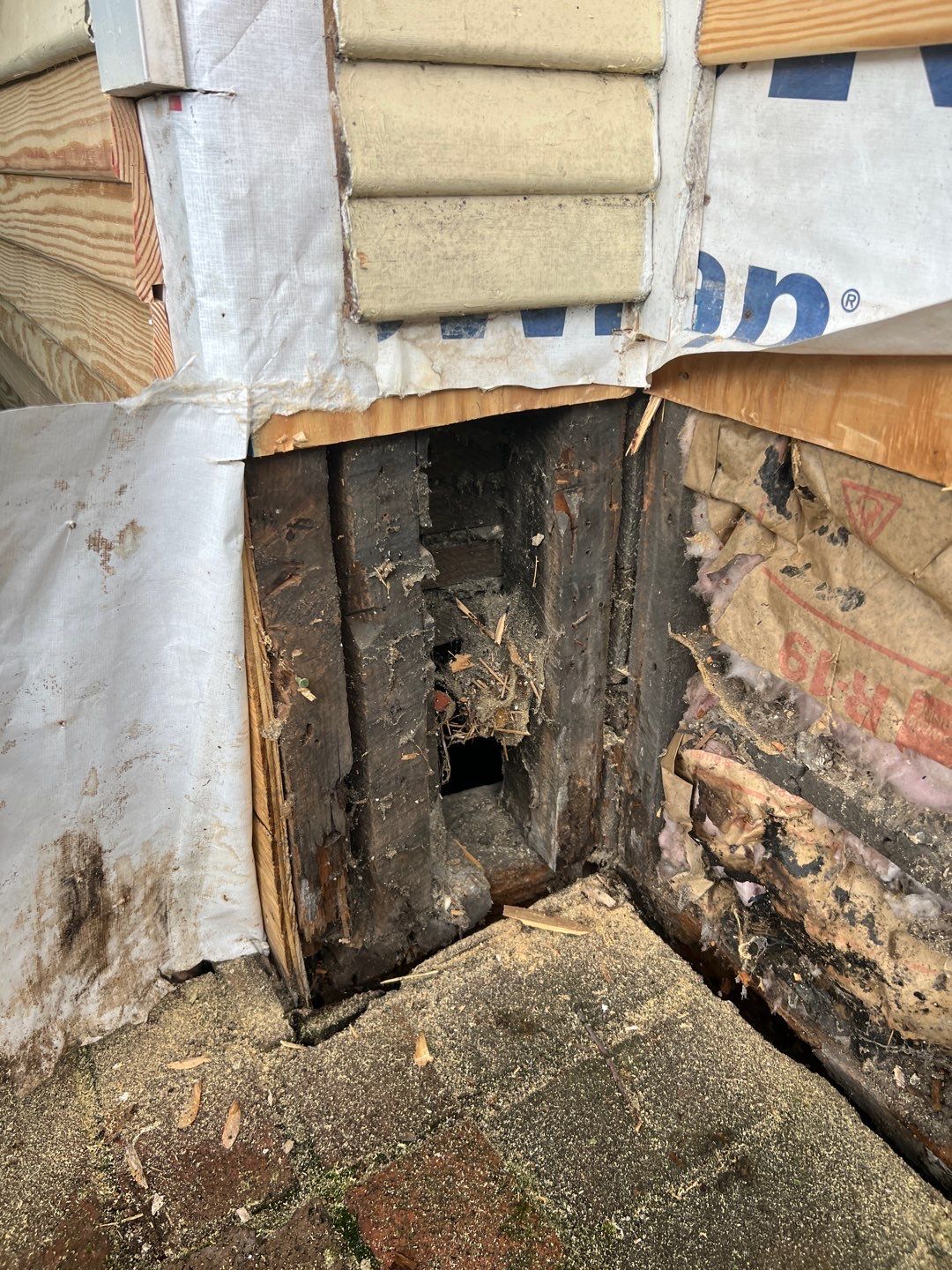 Alexandria: Siding Replacement with Solid Pine Wood Lap Siding by RM Banning, Inc.