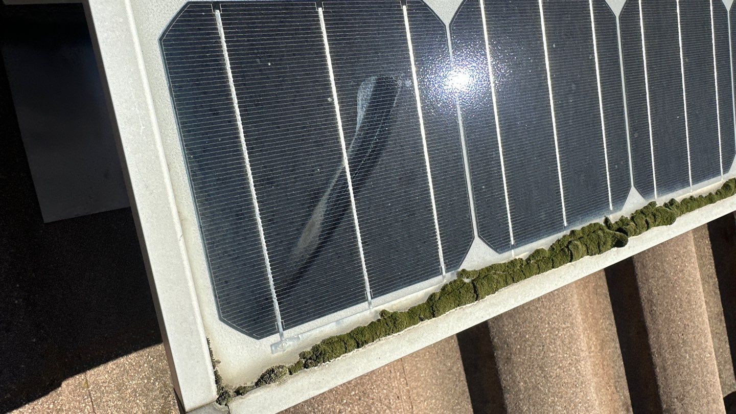 Coto De Caza Gutter Cleaning by Property Cleaning Experts, LLC