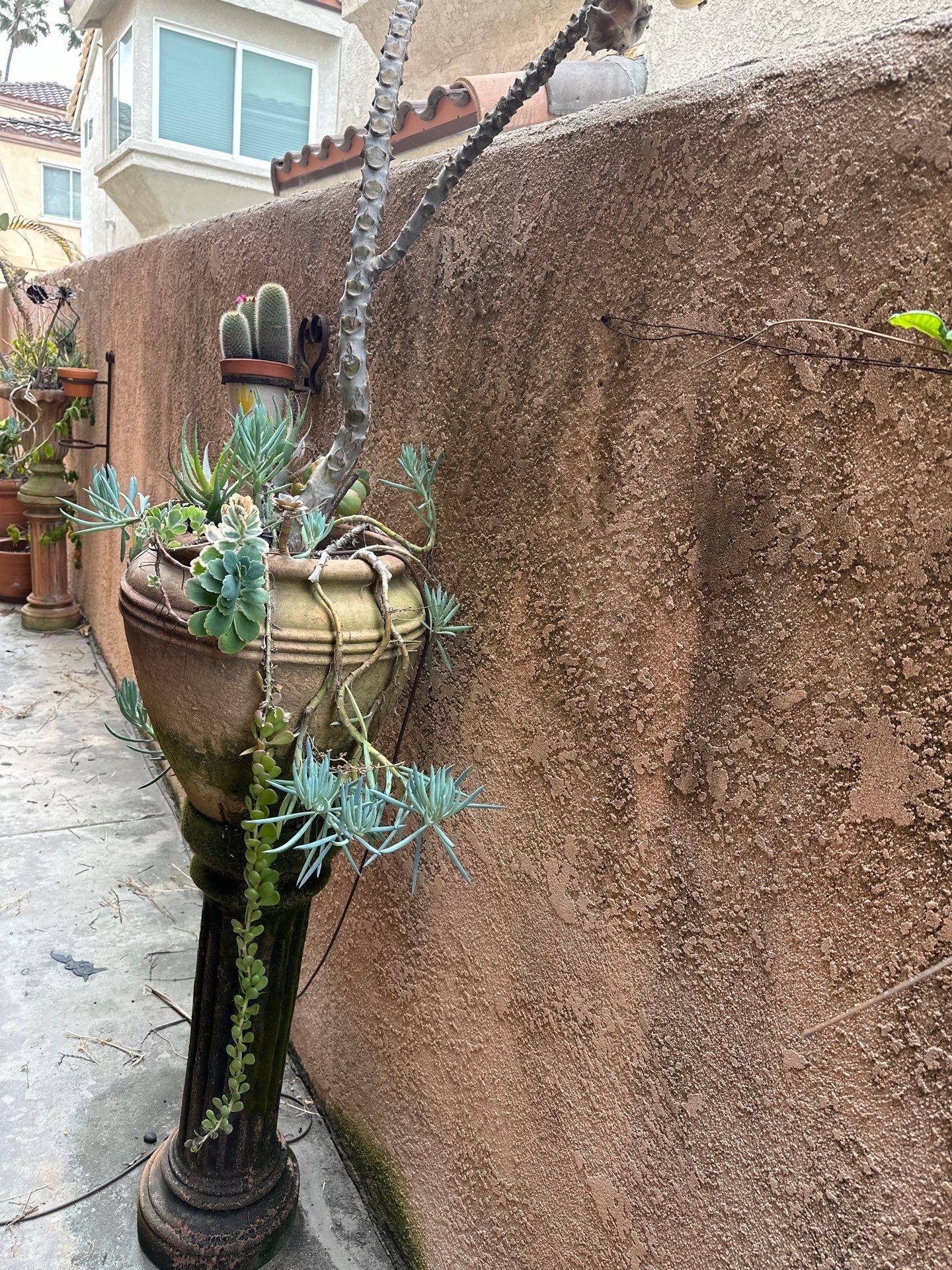 Huntington Beach House Wash by Property Cleaning Experts