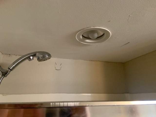Ceiling & Shower Repair by A1 NERDY HOMES LLC