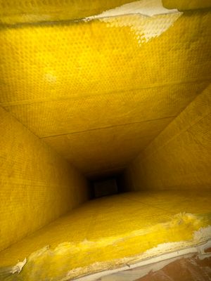 Duct cleaning and Sanitization