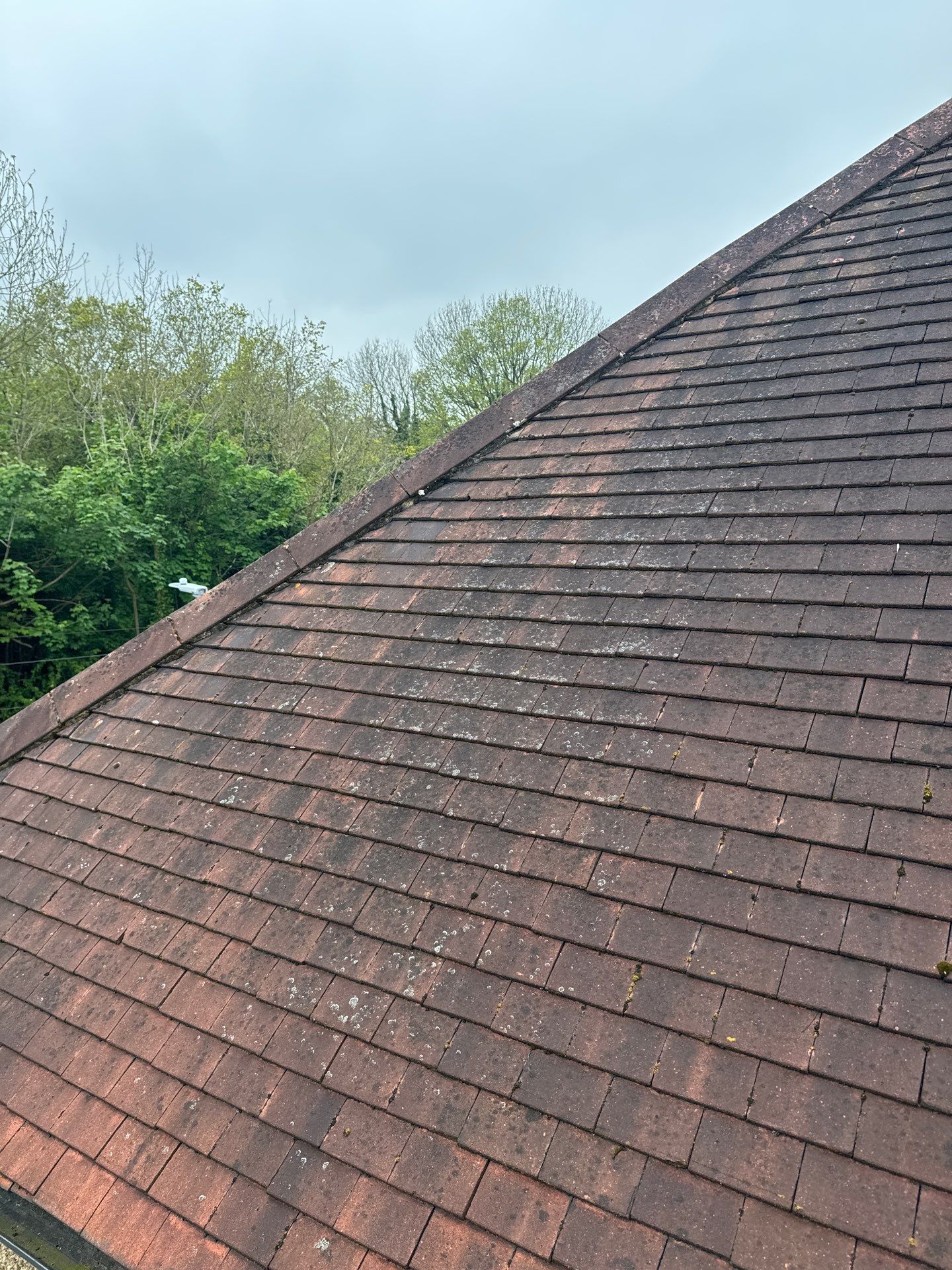 Exterior Clean - Roof - Patio - Driveway using honda 21 ltr/min by Ges Exterior Cleaning ltd