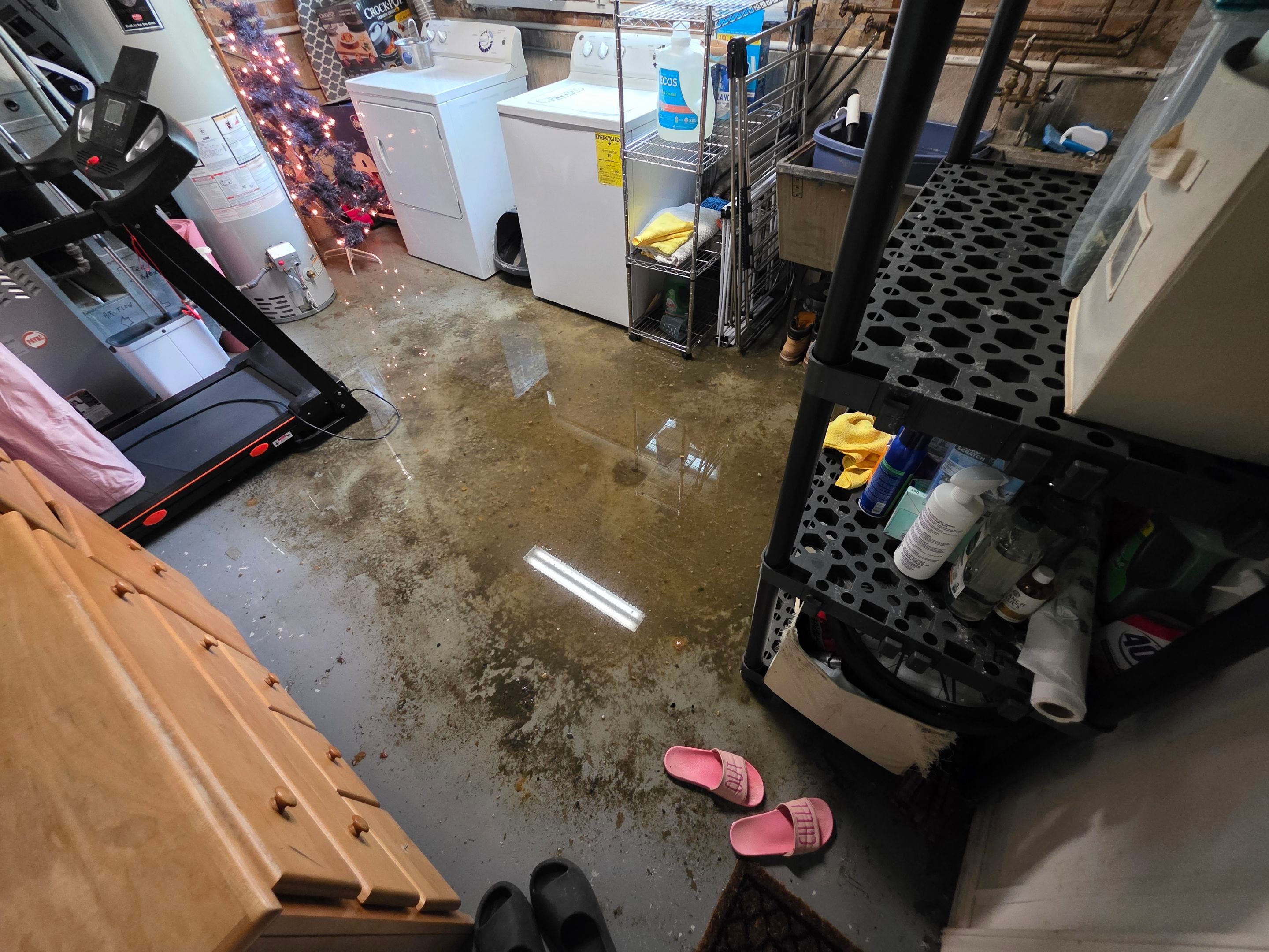 Wilmette Basement Sewage Extraction and Structural Drying Mitigation by Chicagoland Water Medics