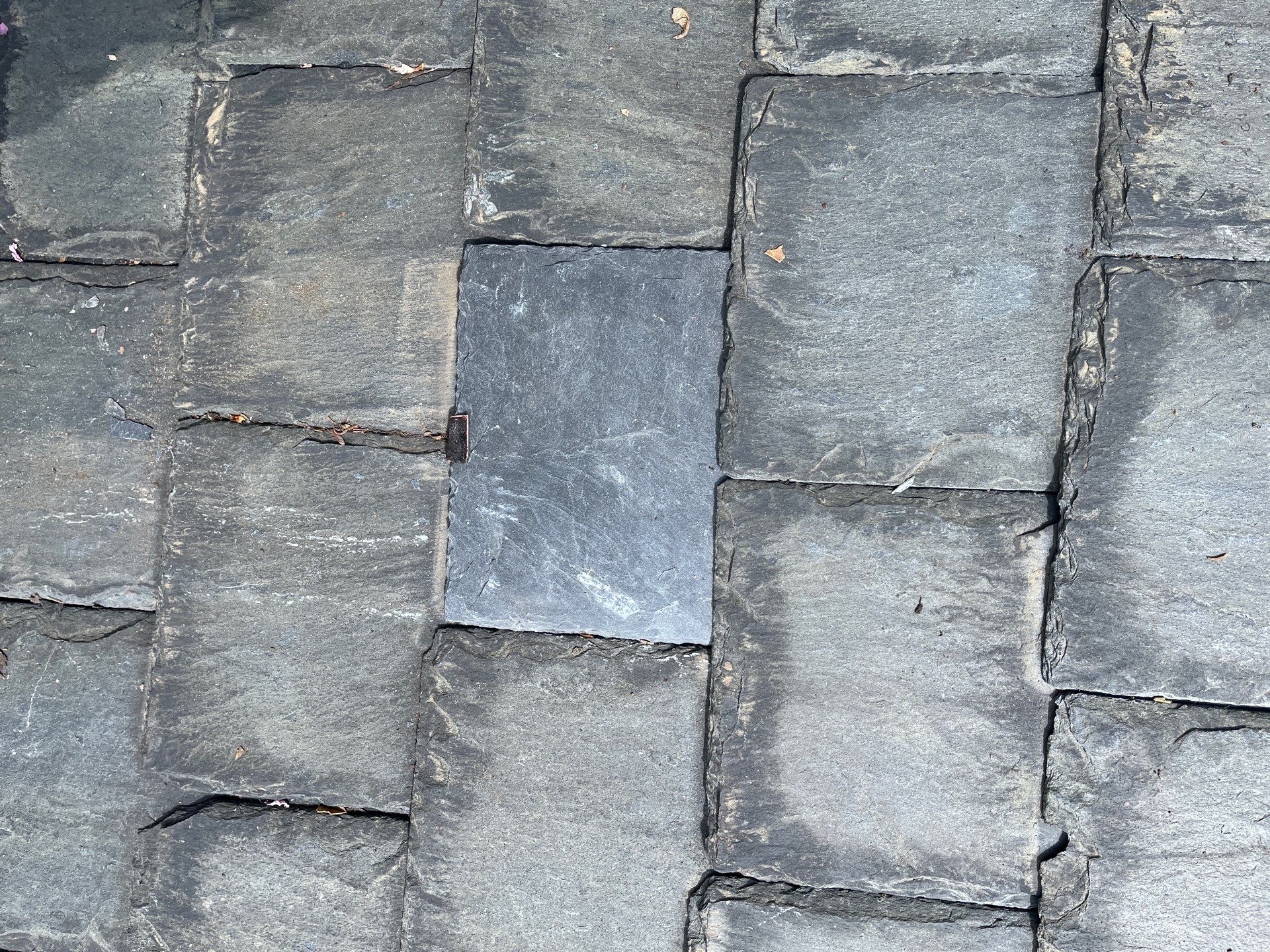 Arlington: Buckingham Slate and Carlisle Syntec TPO Roof by RM Banning, Inc.