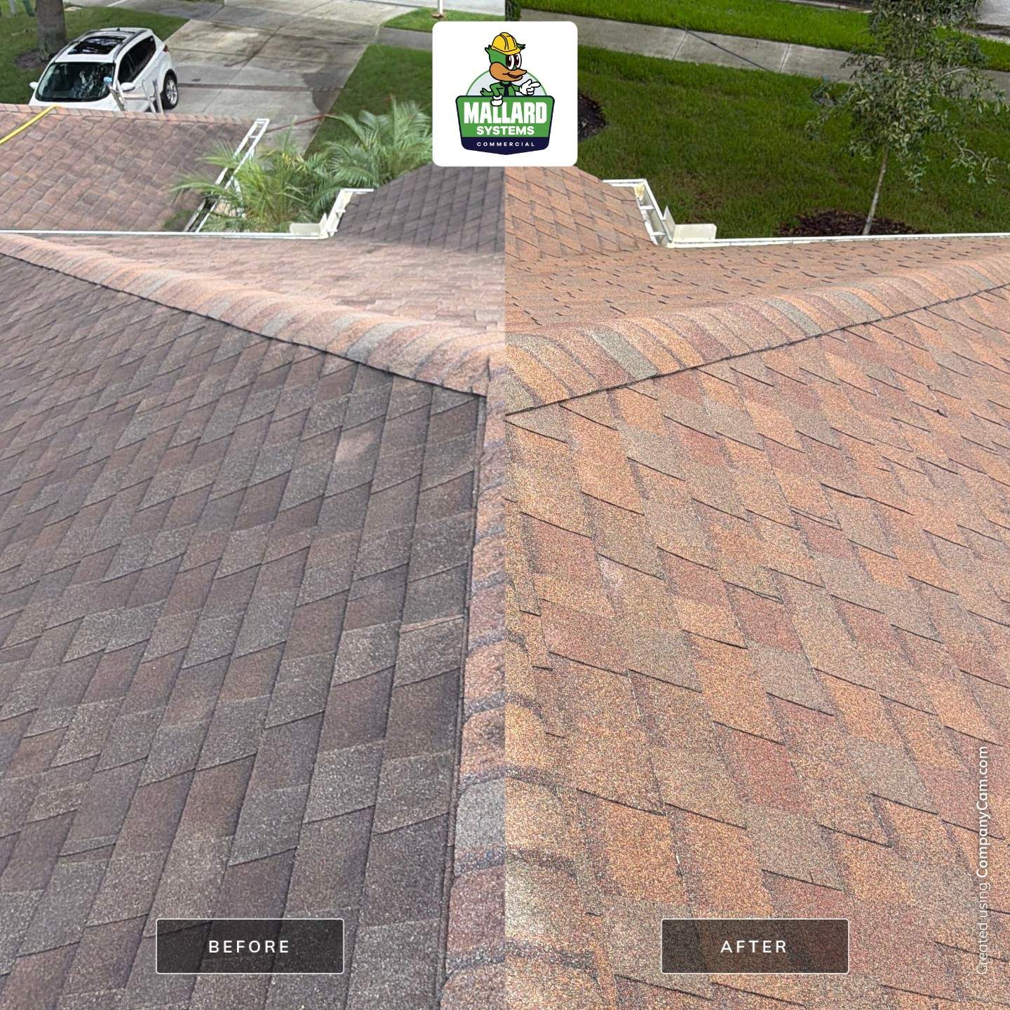 Shingle Roof Cleaning Service in Casselberry by Mallard Systems