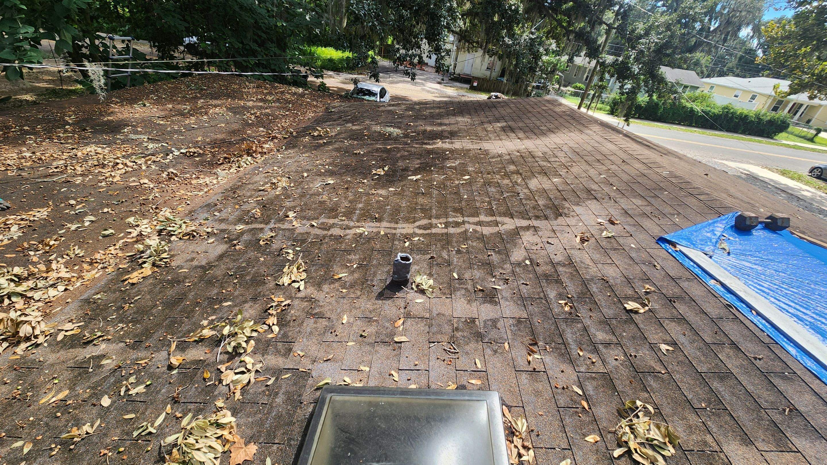 Tree Damage Claim in Orlando by FLAPA & KeyStone