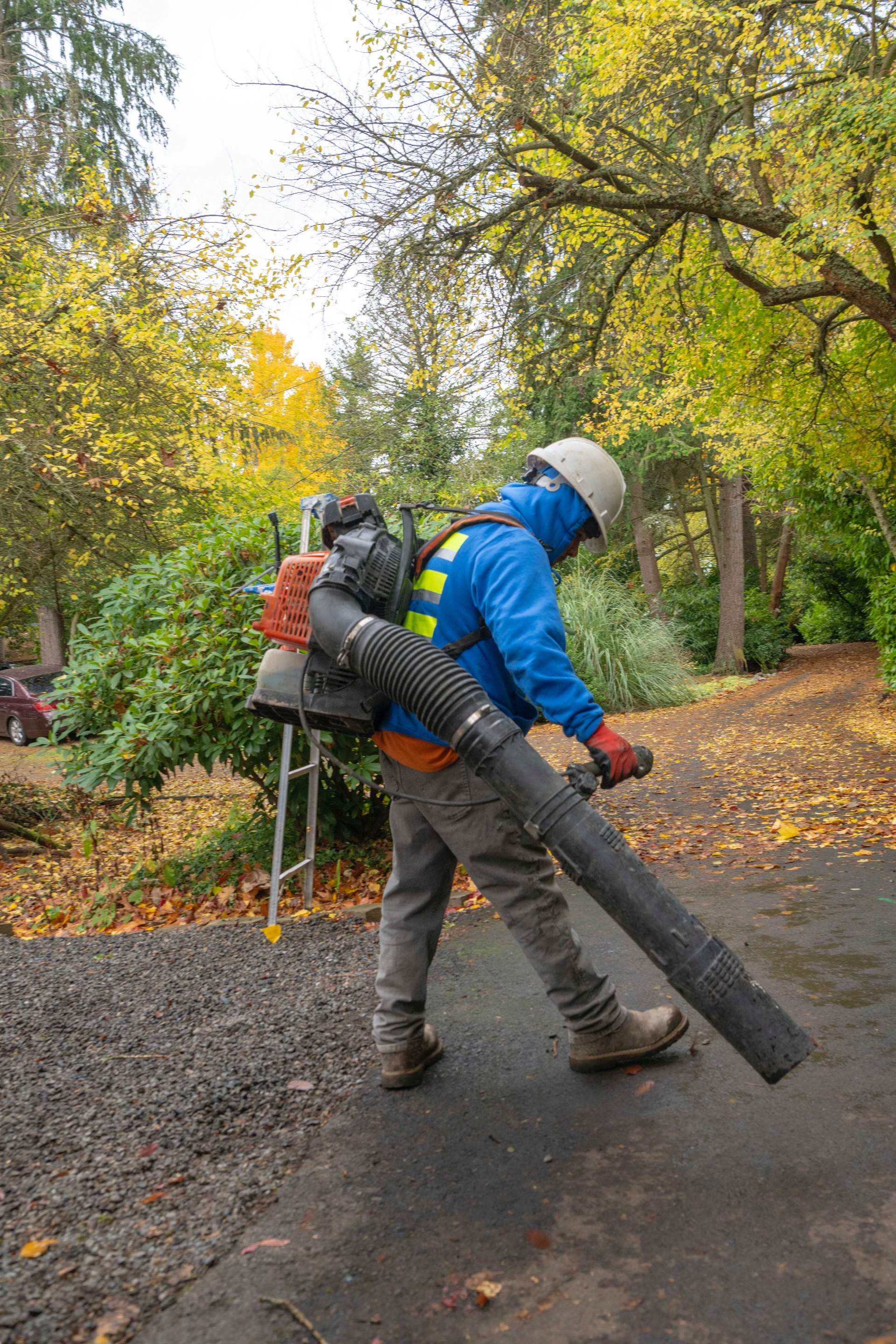 Fall and Spring Cleaning by Jireh Asphalt & Concrete Inc 