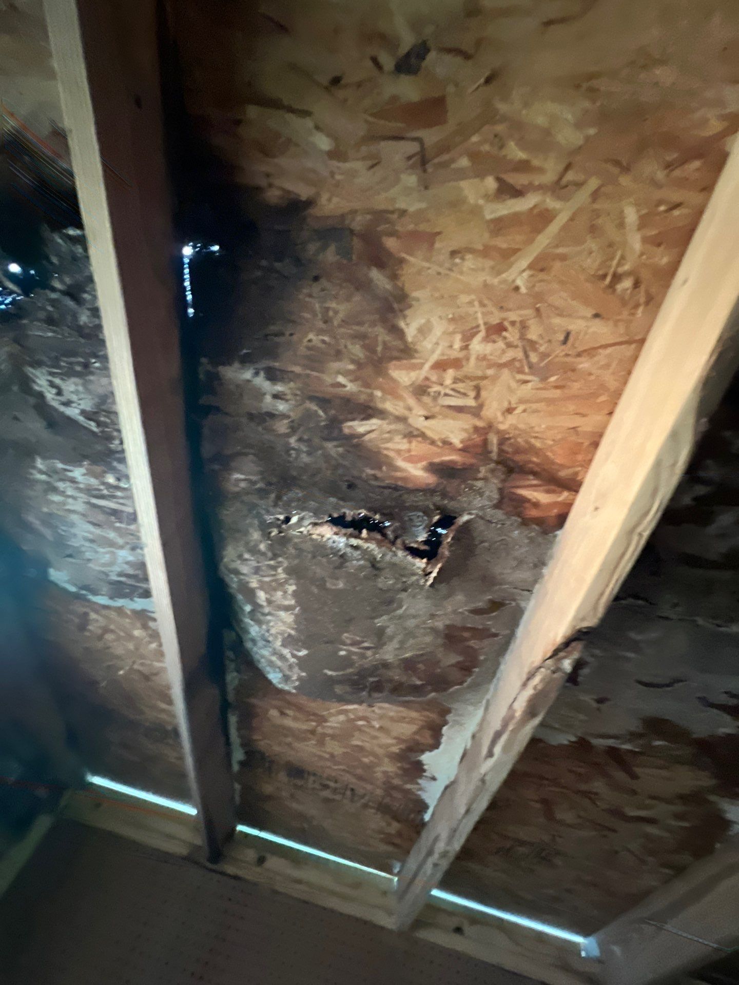 Residential Roofing Repair using Owen's Corning Duration (Lifetime) Shingles by Roof Repair Services LLC