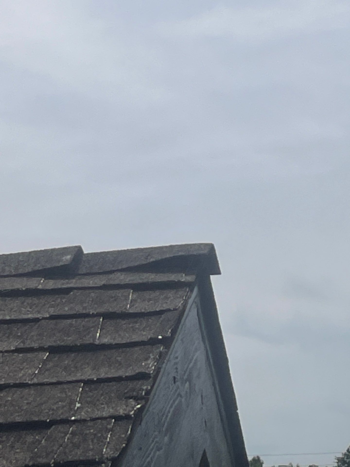 Roof Rejuvenation using Roof Maxx Treatment by Roof Maxx of Folsom