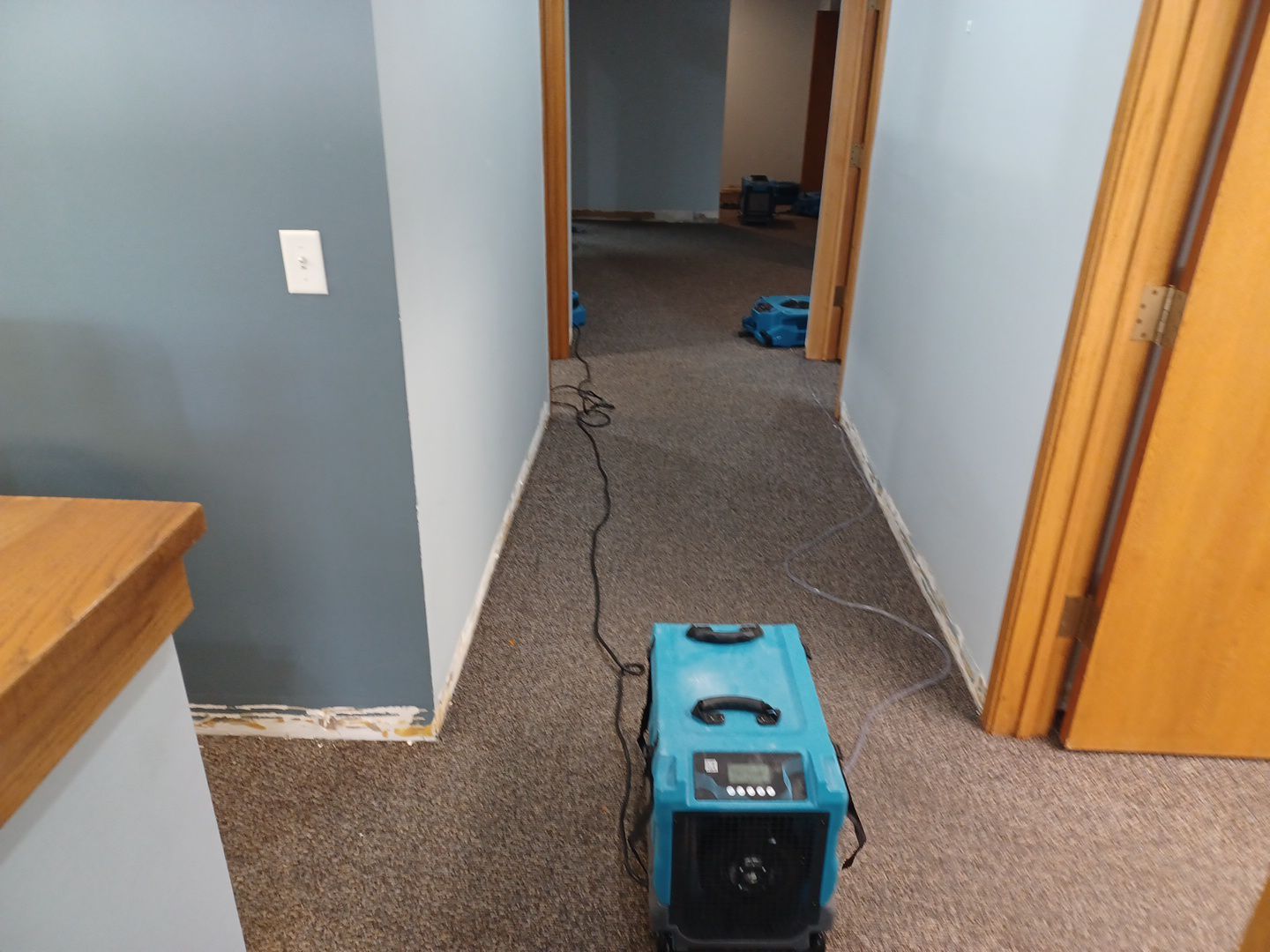 Project in Ann Arbor by EzDry Water Mitigation & Property Restoration