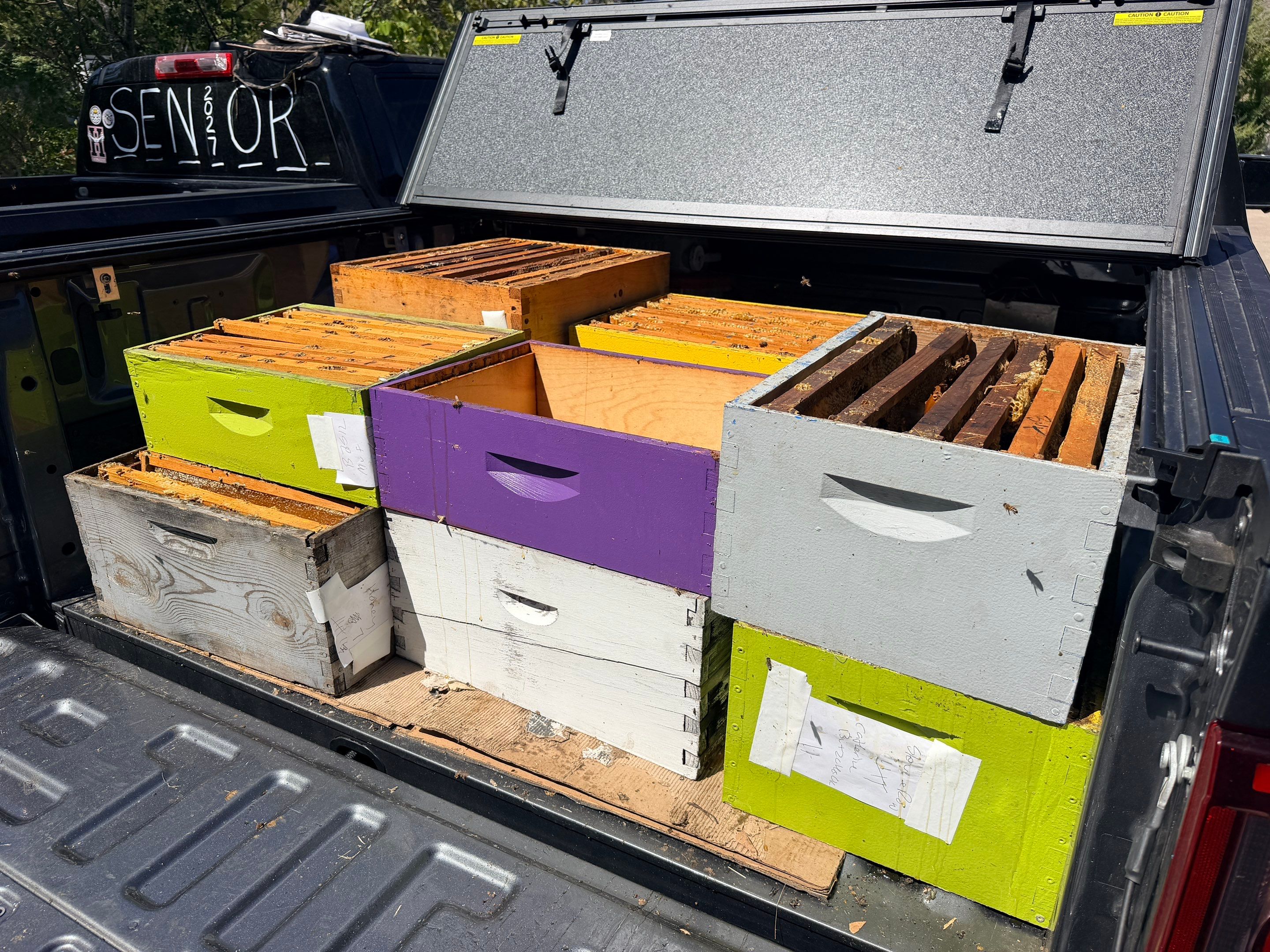 Project in Royse City, TX by Rockwall Honey Bee Company