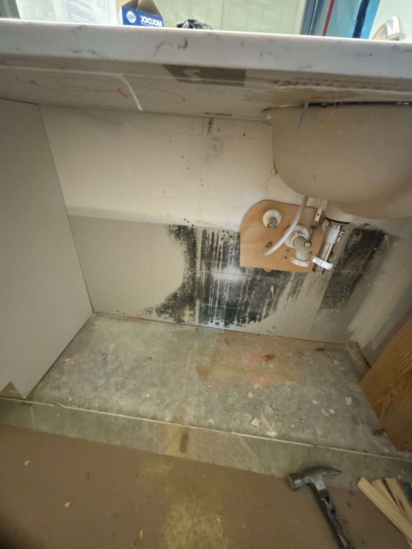 Mold Damage Inspection In Bradenton Florida by Ampm Restoration Services