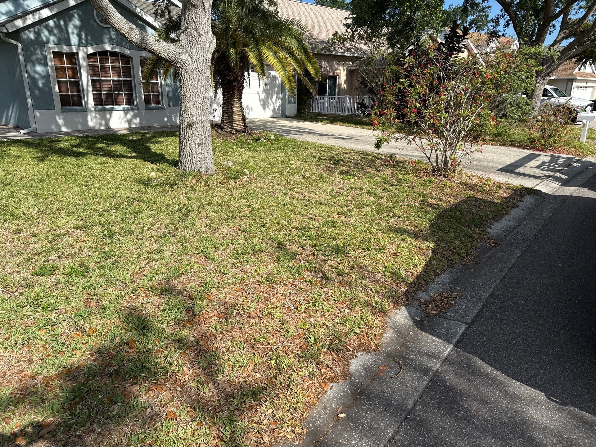 Concrete Driveway, Entryway & Street Curbing Cleaning | Foster’s Creek Community | Palmetto, FL by Sunshine AquaWash
