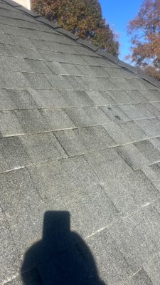 Project in Chester