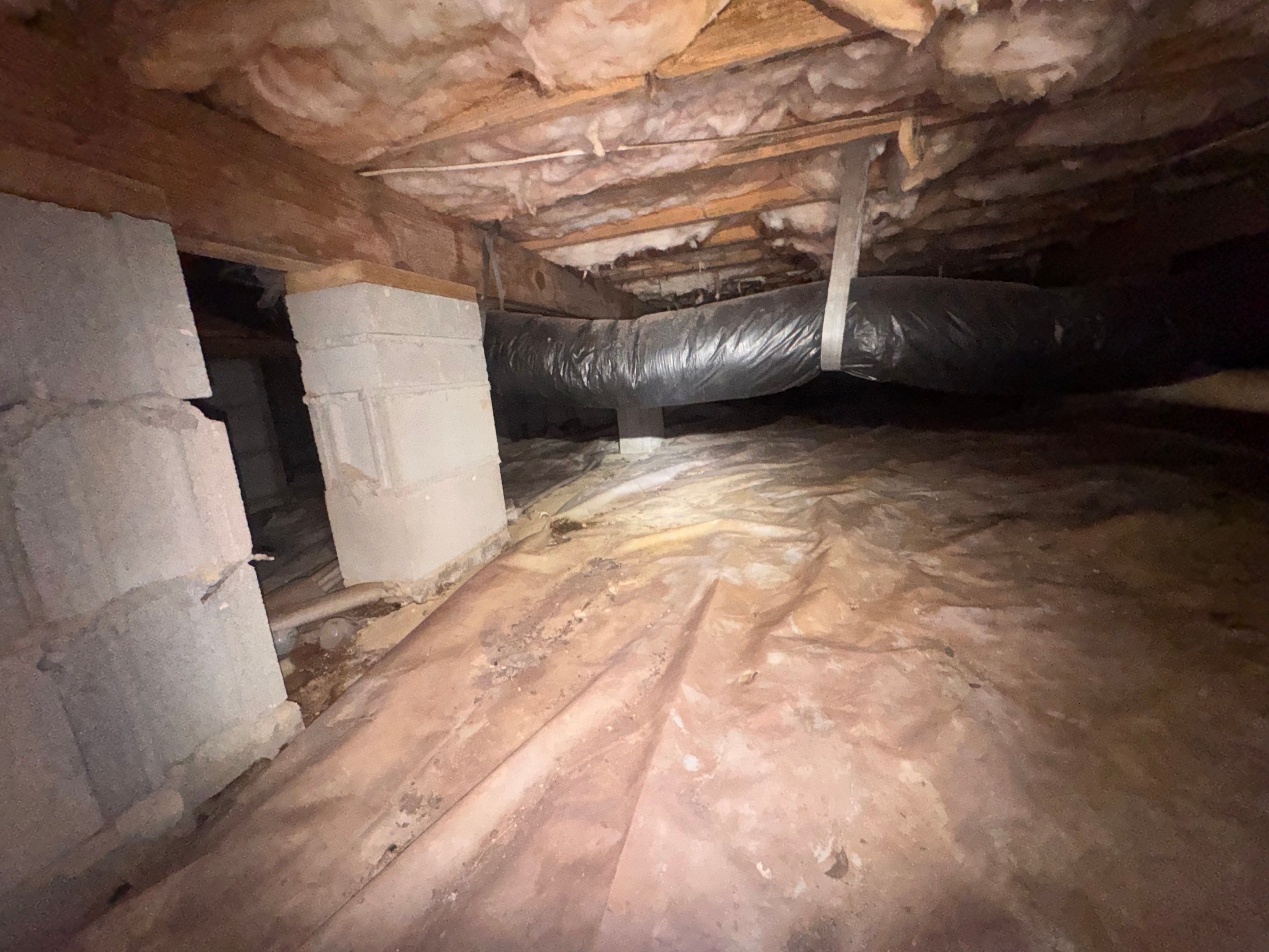 Moisture Barrier, Mold Clean, Structural Repair, Dehumidifier, R19 Insulation. by Impact Crawlspace