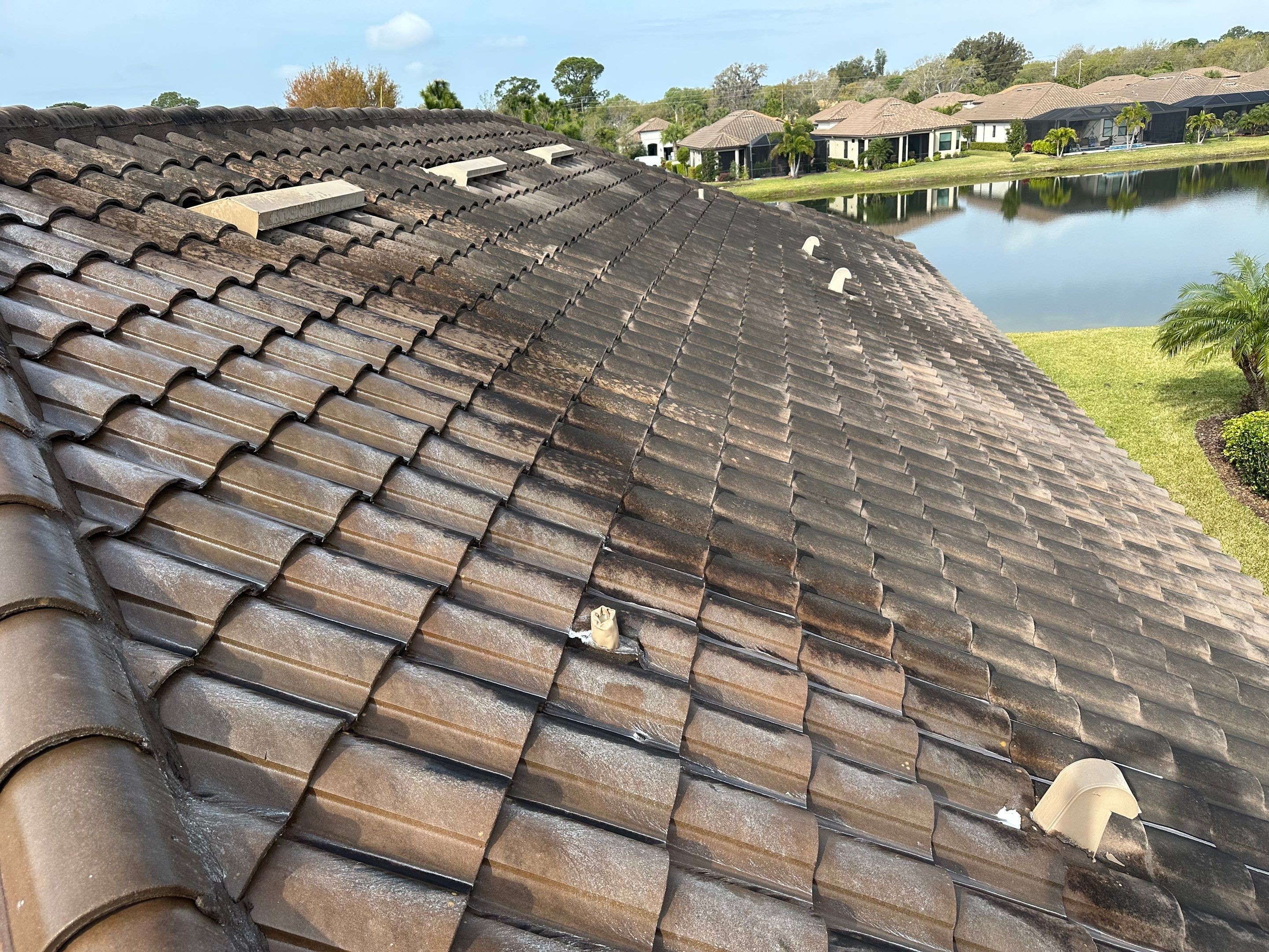 Concrete Tile Roof, Paver Pool Deck, Screen Enclosure & Driveway Cleaning in Artisan Lakes Esplanade, Palmetto, FL | Sunshine AquaWash by Sunshine AquaWash
