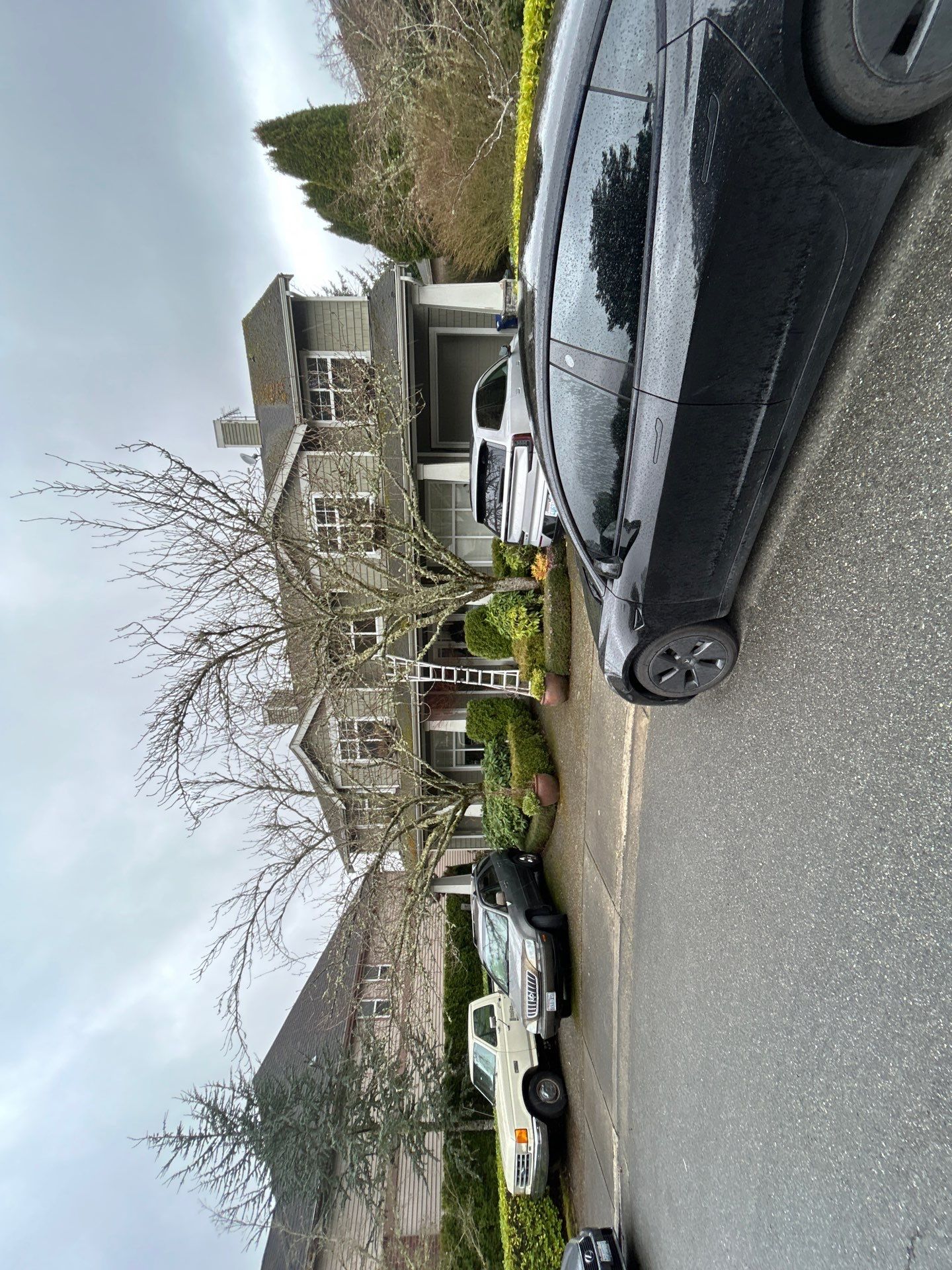 Project in Bellevue by Peaks and Valleys Construction