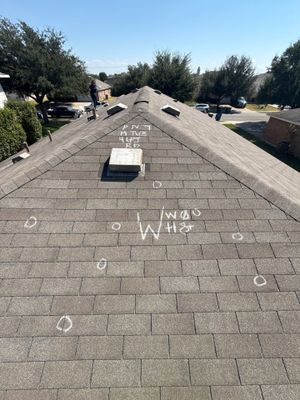 Project in Hutto