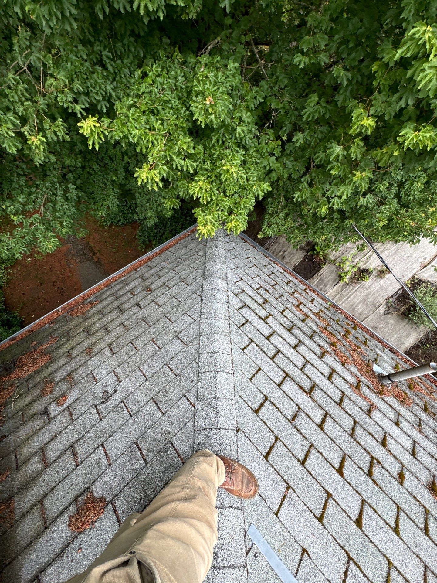 Project in Seattle by Peaks and Valleys Construction