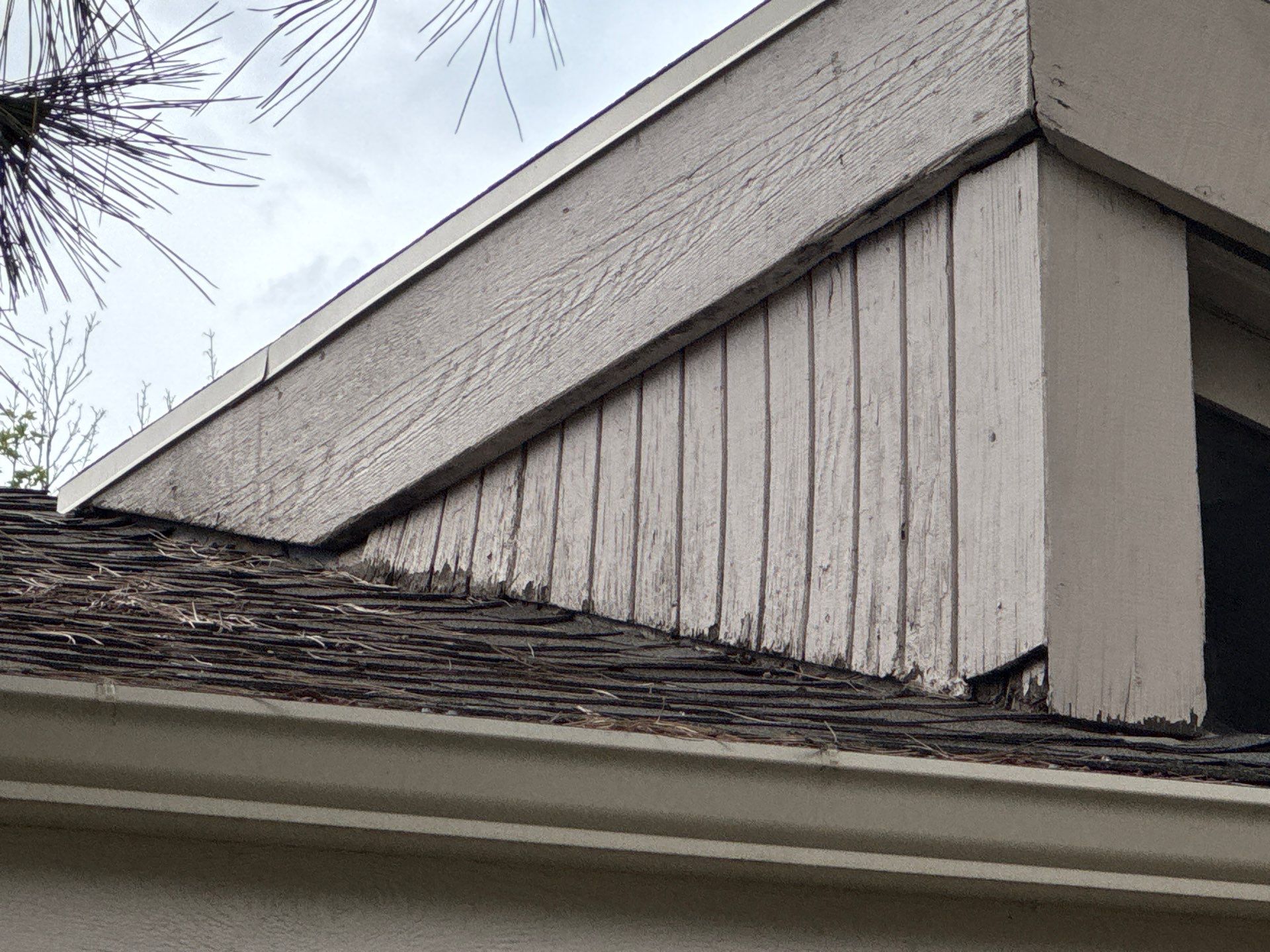 Siding Restoration in Rockrimmon by Carroll Painting LLC
