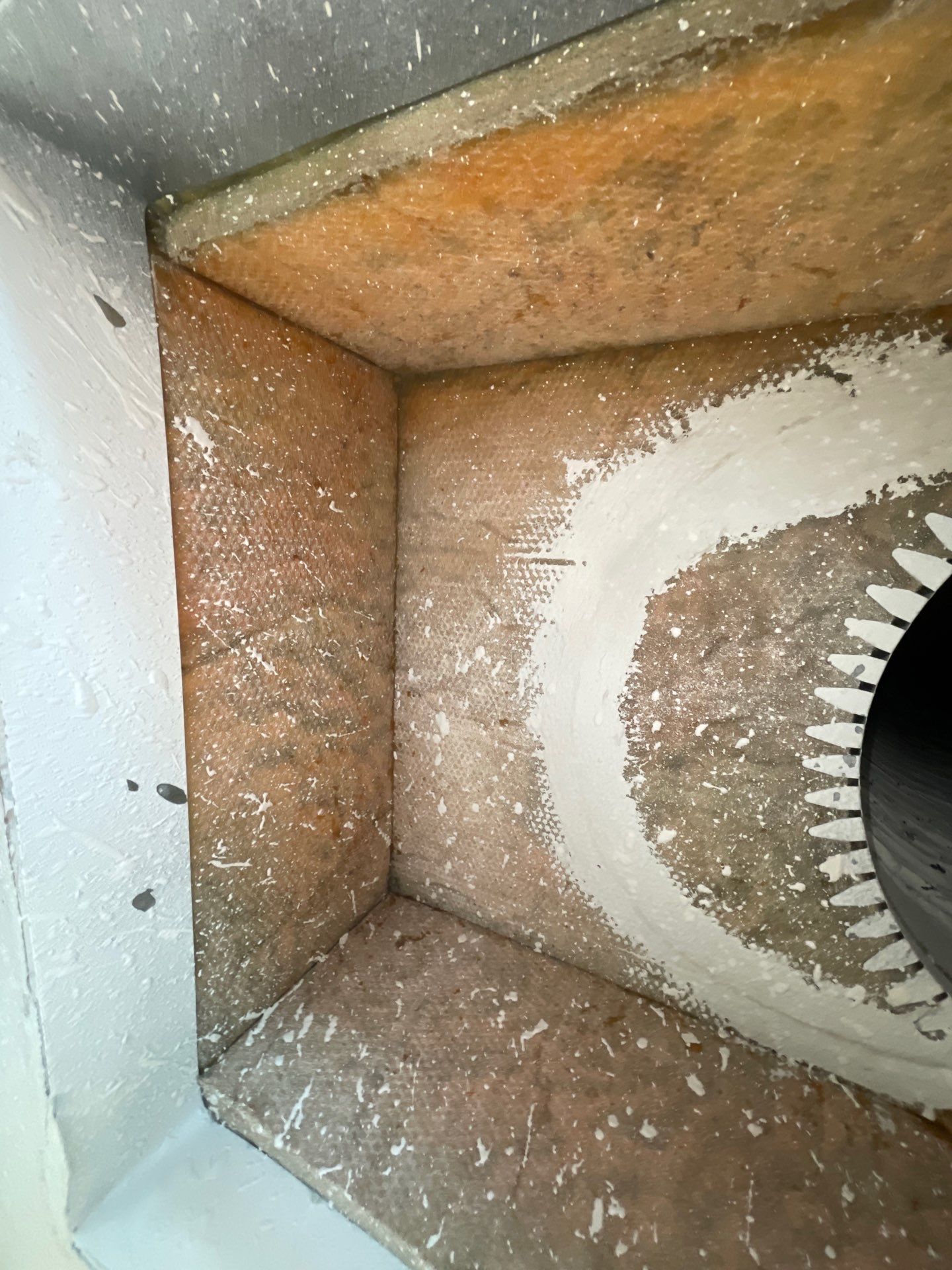 Air Duct Cleaning in Bartow by Hygienic Air, Inc