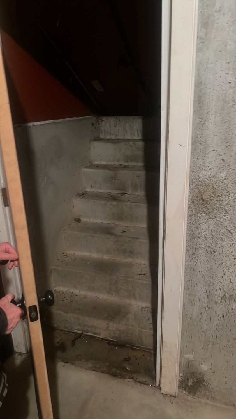 Rommel family Basement TransFLOORmation by Symphony Concrete Coatings