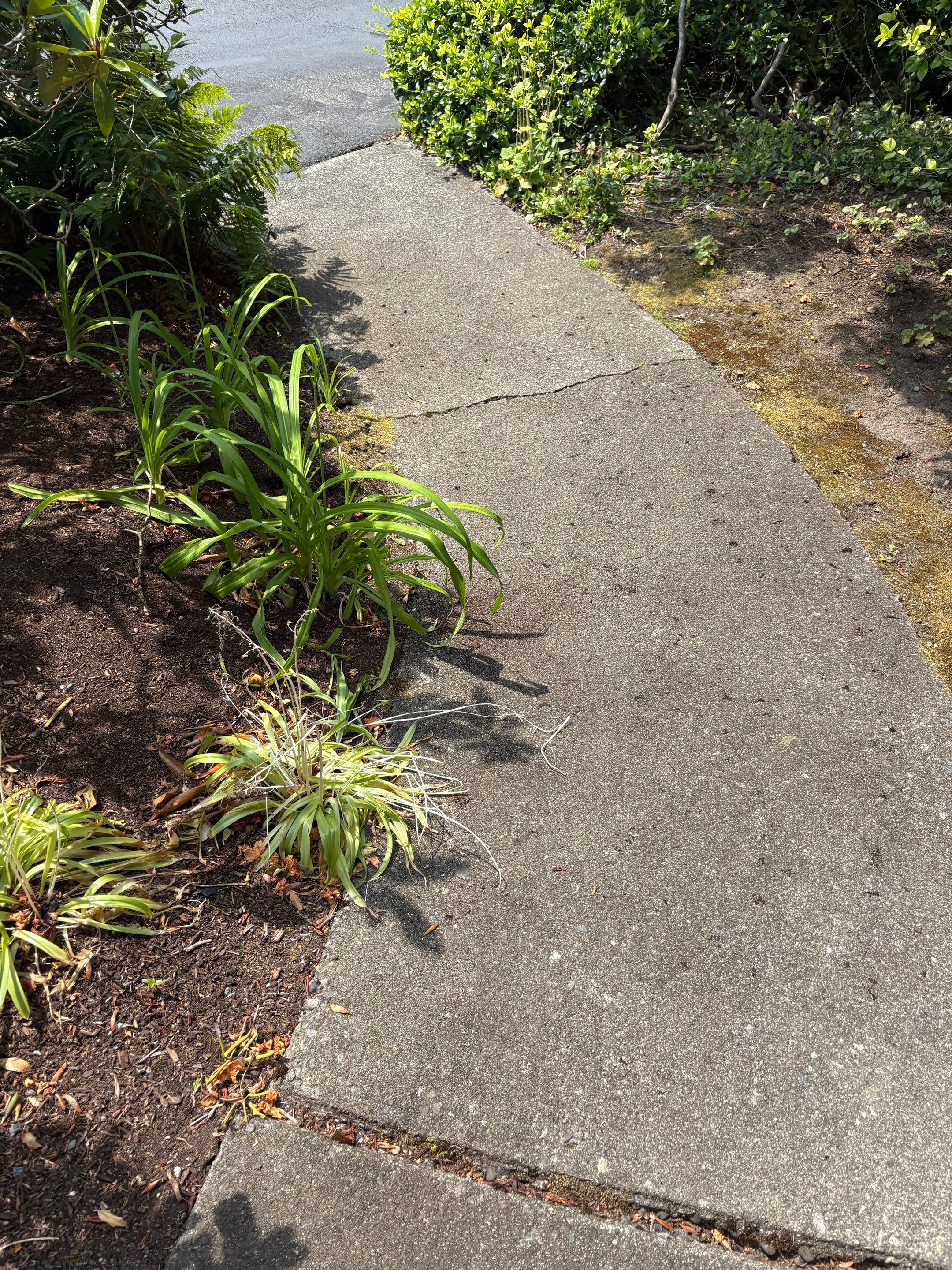 Driveway Sealcoat Repair | Woodinville  by Jireh Asphalt & Concrete Inc 