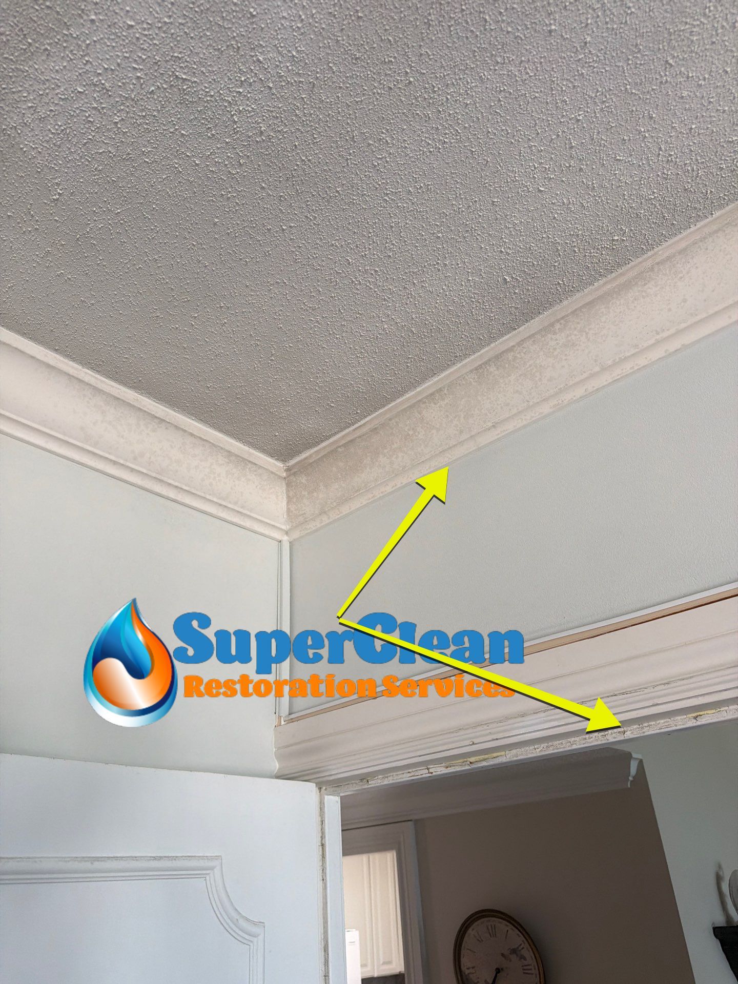 Residential Mold Remediation and Interior Moisture Damage Assessment in Palm Beach by SuperClean