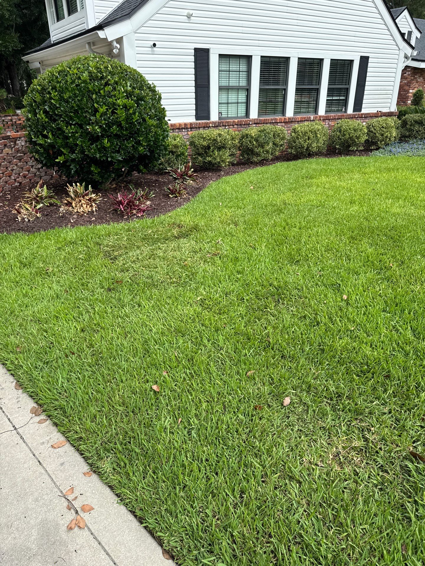 Deerwood Resident | Sod & Plant Installation by ProGreen Services