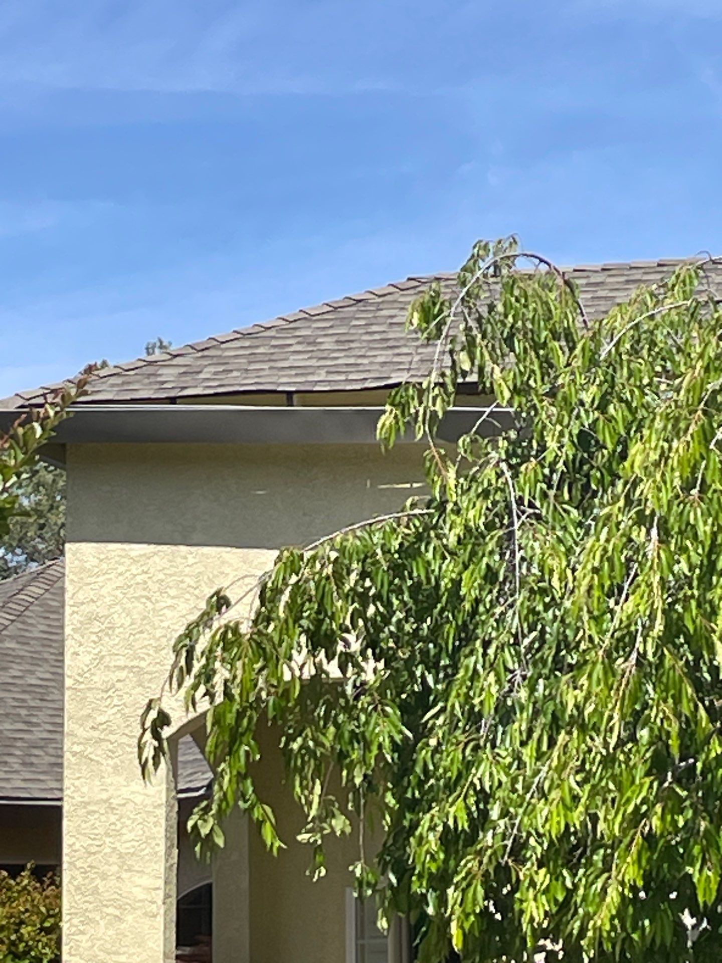 Roof Rejuvenation using Roof Maxx Treatment by Roof Maxx of Folsom